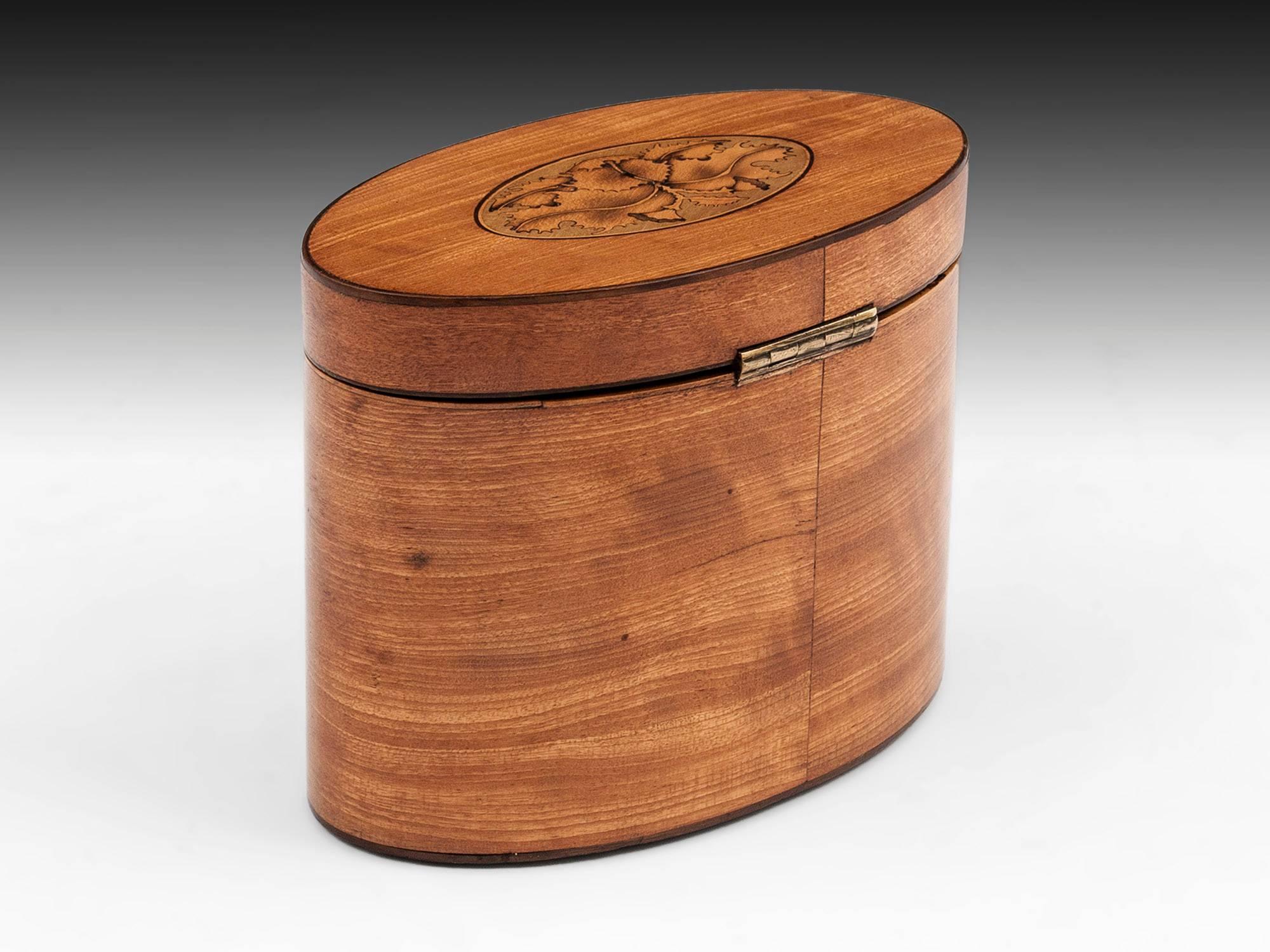Satinwood Oval Tea Caddy In Excellent Condition In Northampton, United Kingdom