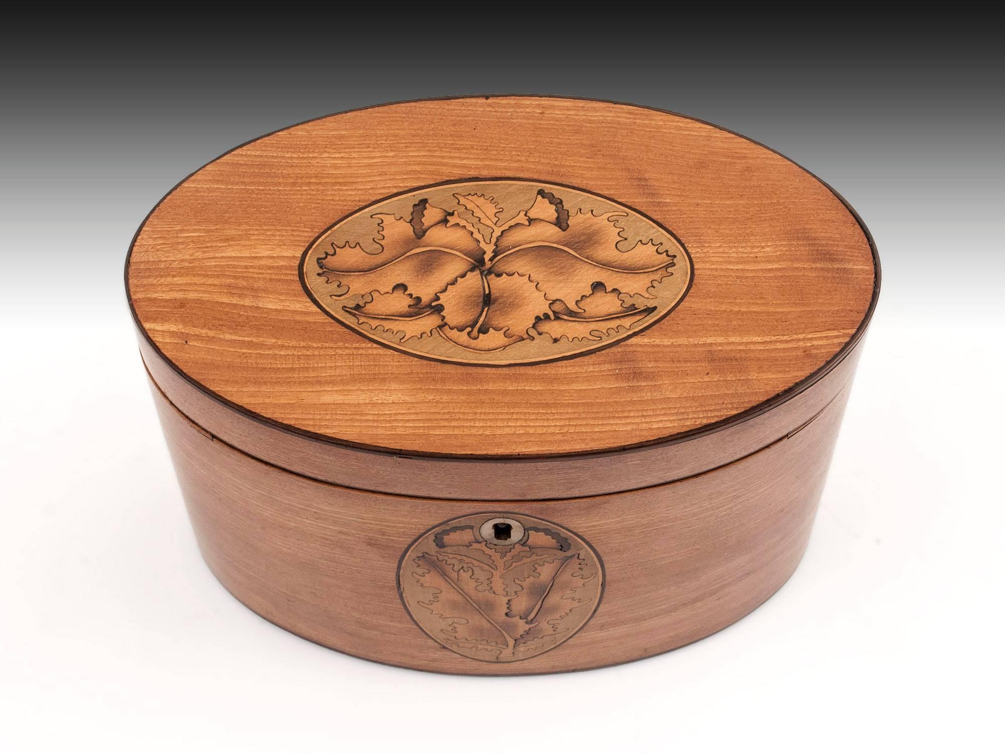18th Century and Earlier Satinwood Oval Tea Caddy