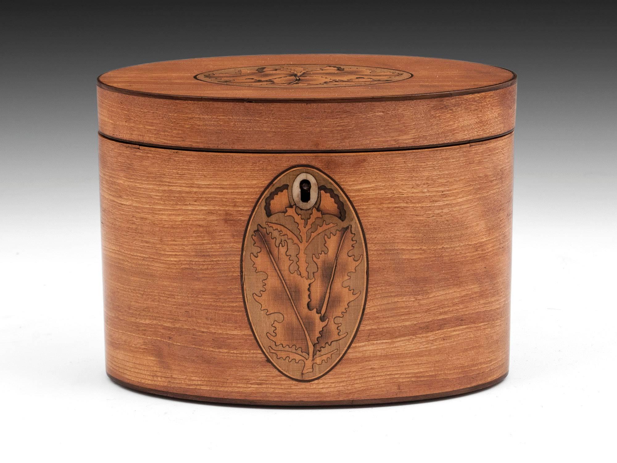 Antique oval tea caddy beautifully veneered in Indian Satinwood with two exquisite oak leaf inlays to the top & front. The delicate oval key profile is made from bone. 

The interior of this satinwood oval tea caddy features a bone handled
