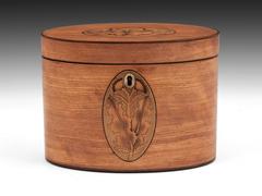 Satinwood Oval Tea Caddy