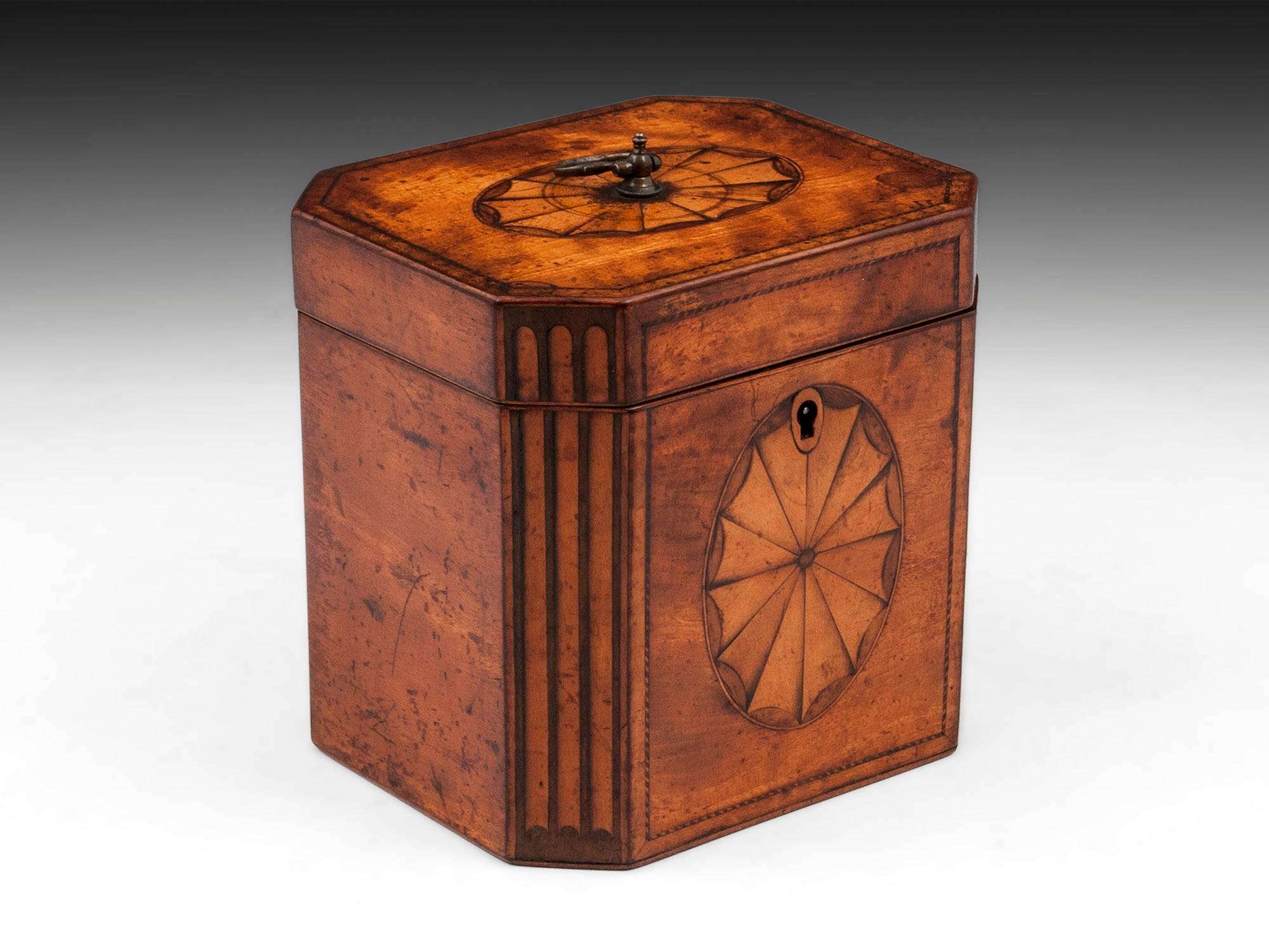 British 18th Century Georgian Satinwood Tea Caddy