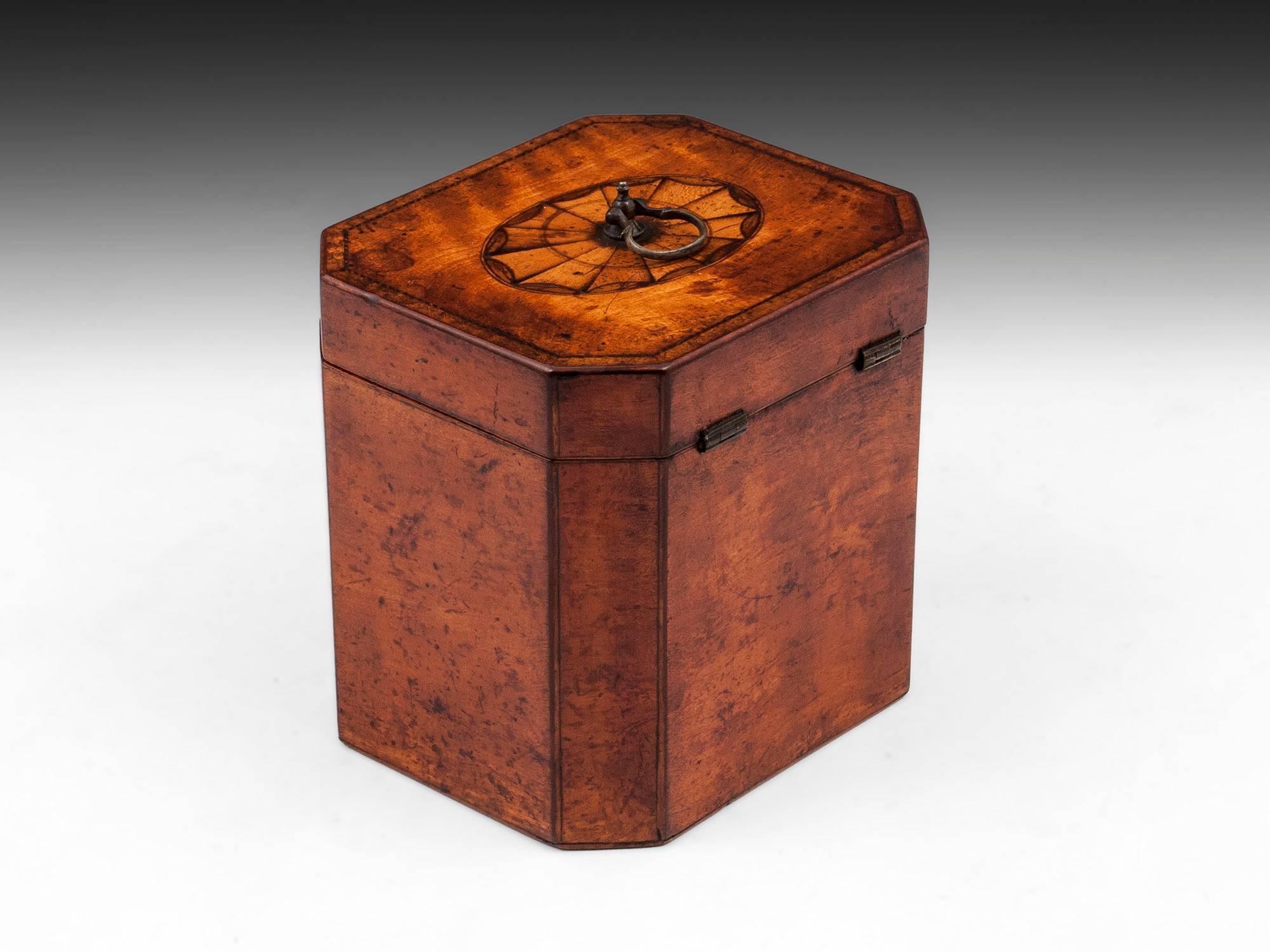 18th Century Georgian Satinwood Tea Caddy In Excellent Condition In Northampton, United Kingdom