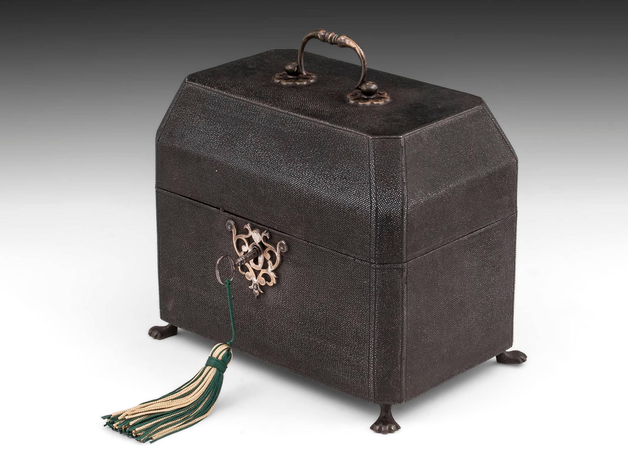 18th Century Shagreen and Silver Tea Chest 5