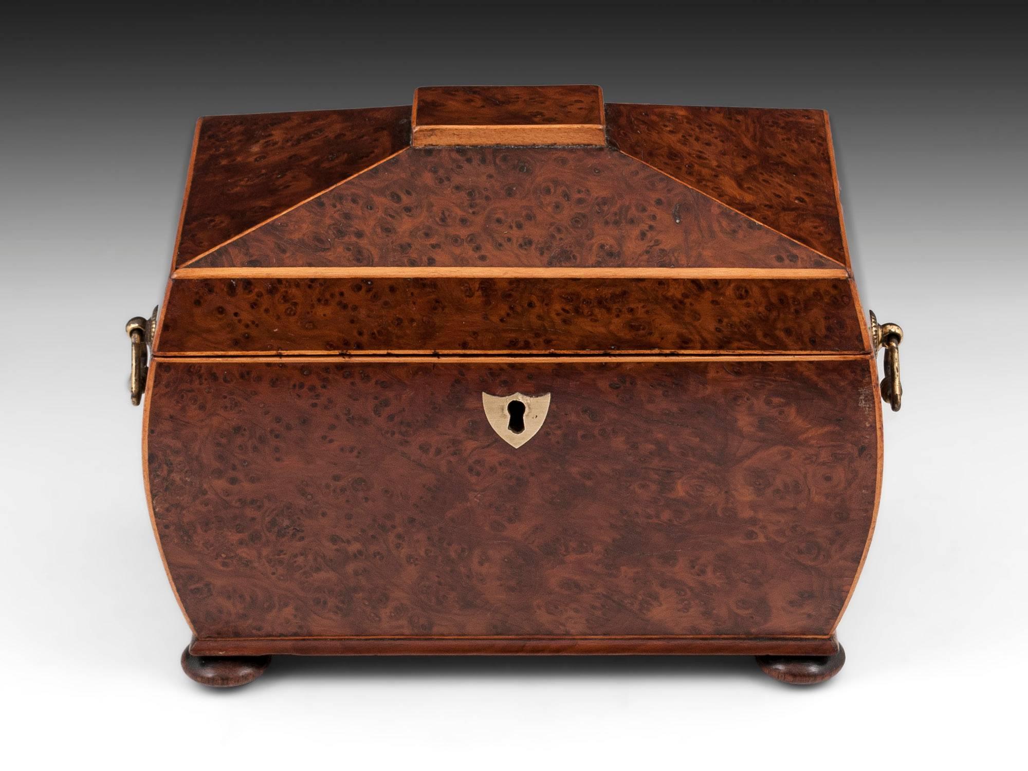 Antique bombe shaped tea caddy veneered in burr yew with boxwood edging, has two brass carry handles, shield shaped escutcheon and stands on four turned wooden bun feet. 

This antique Regency tea caddy interior features two compartments with bone