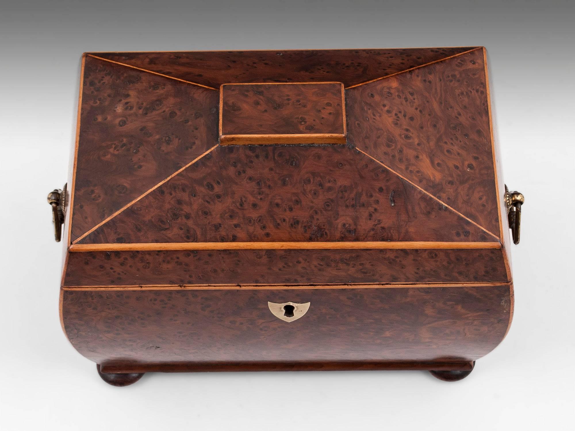 19th Century Antique Regency Bombe Shaped Burr Yew Tea Caddy For Sale