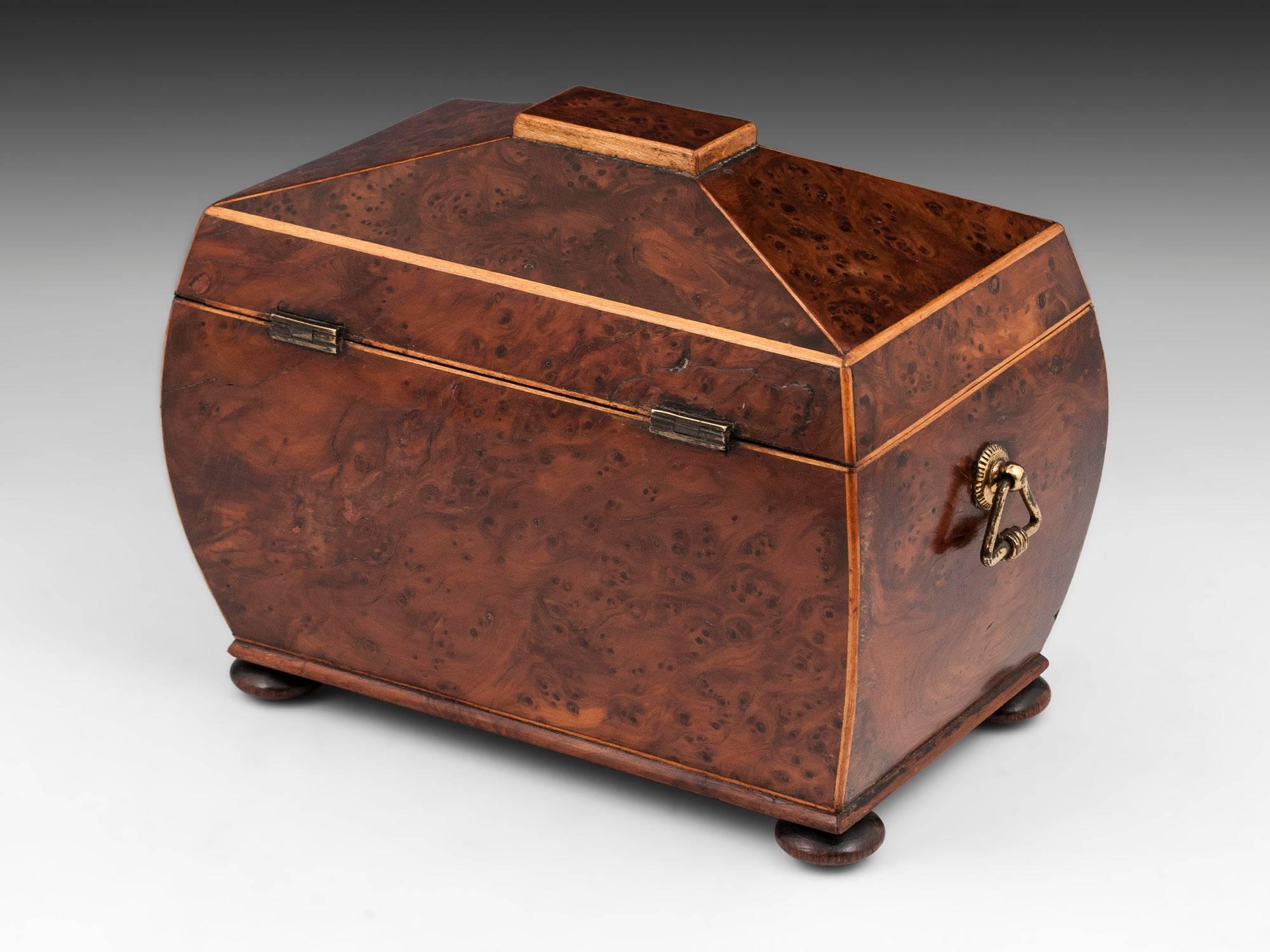 Antique Regency Bombe Shaped Burr Yew Tea Caddy In Good Condition For Sale In Northampton, United Kingdom