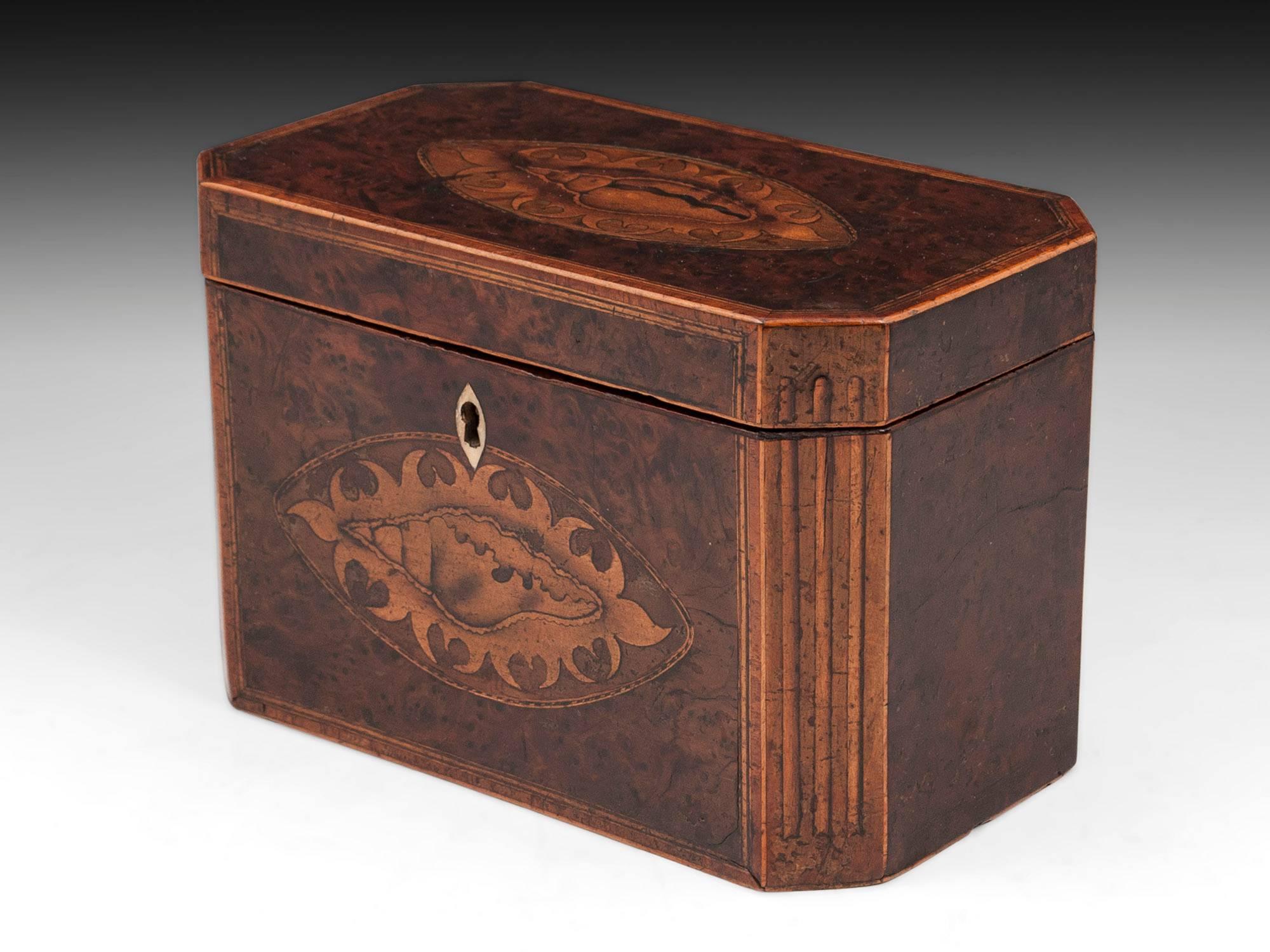 Antique Georgian Burr Yew Tea Caddy In Good Condition In Northampton, United Kingdom