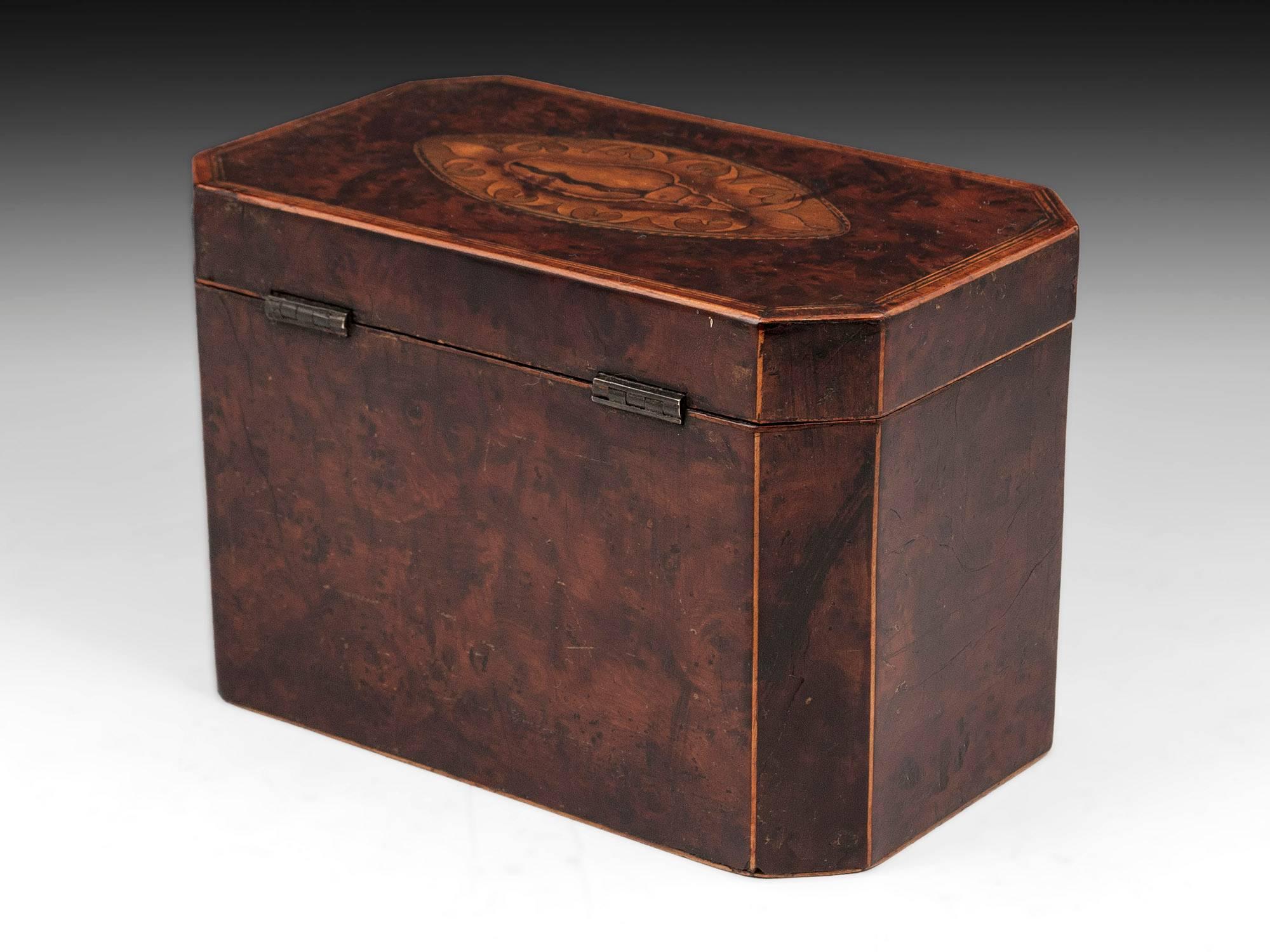 18th Century and Earlier Antique Georgian Burr Yew Tea Caddy