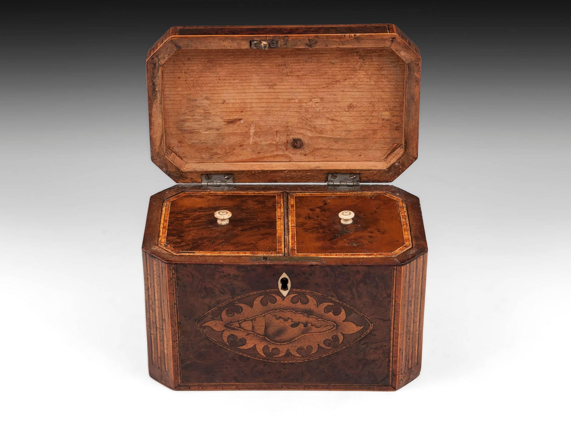 Bone Antique Georgian Burr Yew Tea Caddy