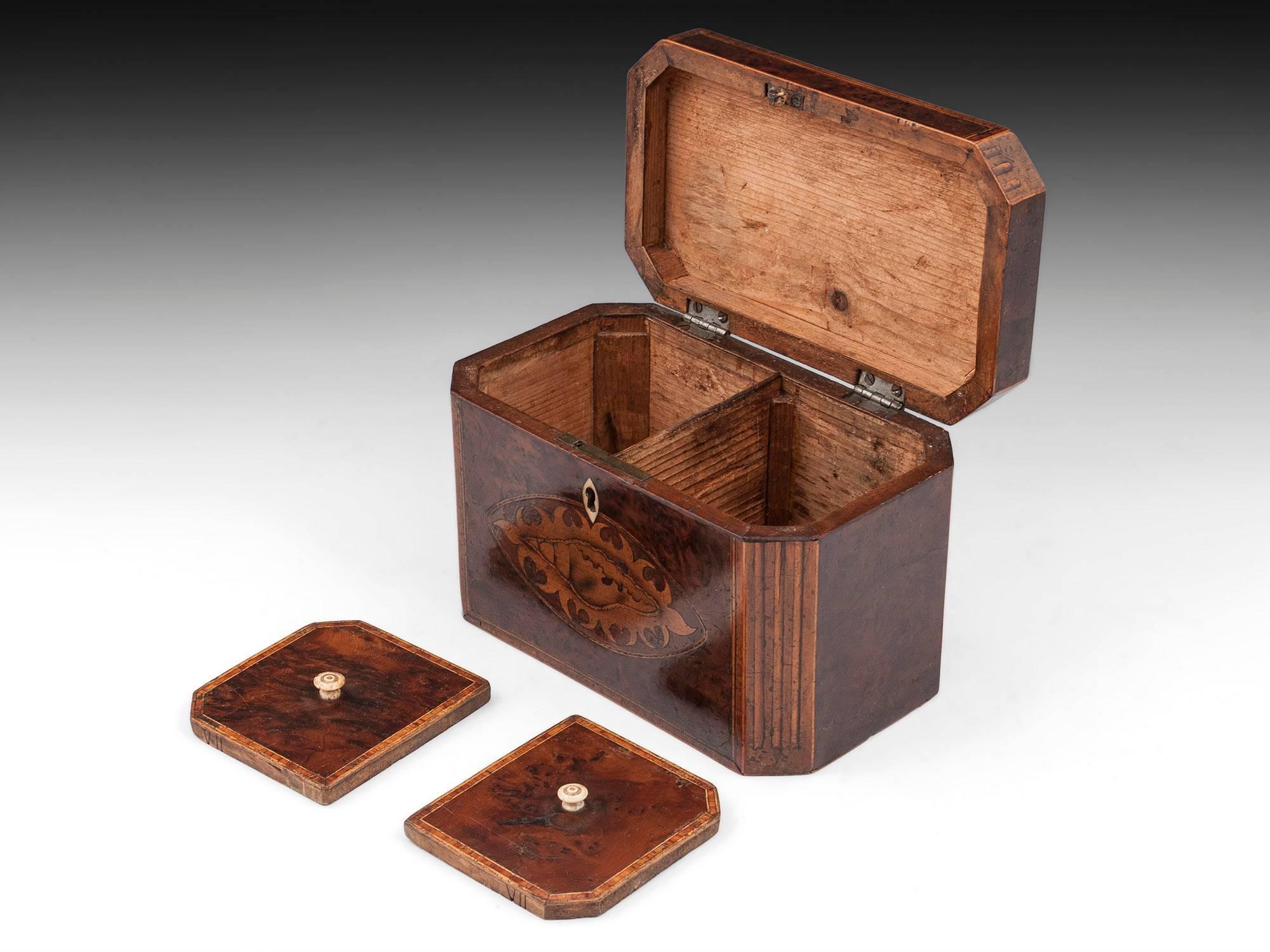 Antique Georgian Burr Yew Tea Caddy 1