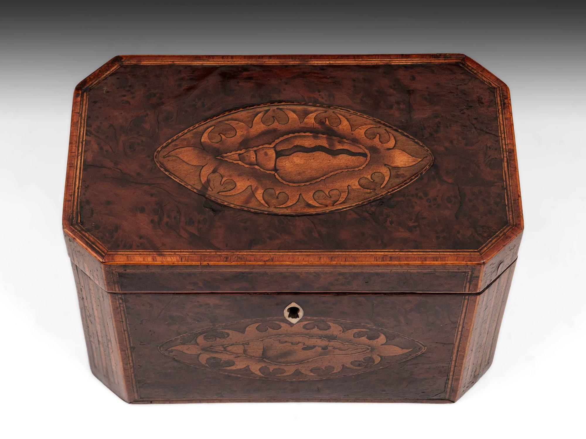 Antique burr yew tea caddy with beautiful inlaid conch shells and fluted cants, with original untouched patination. 

The interior of this Georgian shell inlaid tea caddy features two bone handled burr yew lids. 

The tea caddy has a oval bone