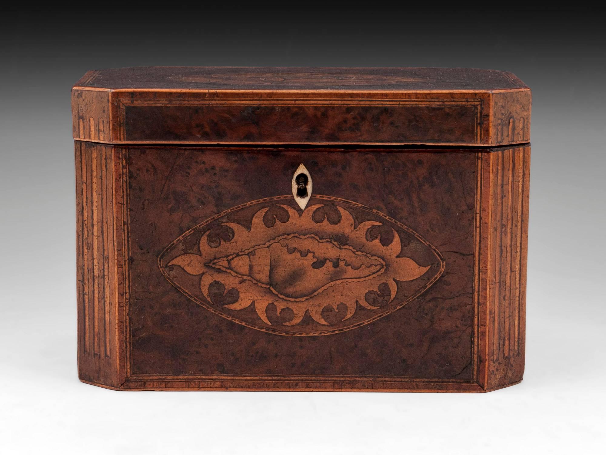 Great Britain (UK) Antique Georgian Burr Yew Tea Caddy
