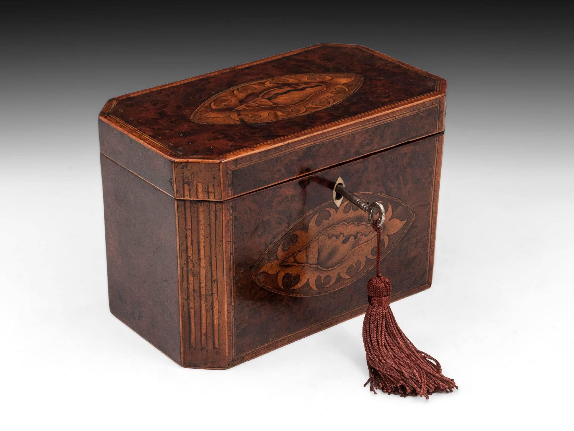 Antique Georgian Burr Yew Tea Caddy 2