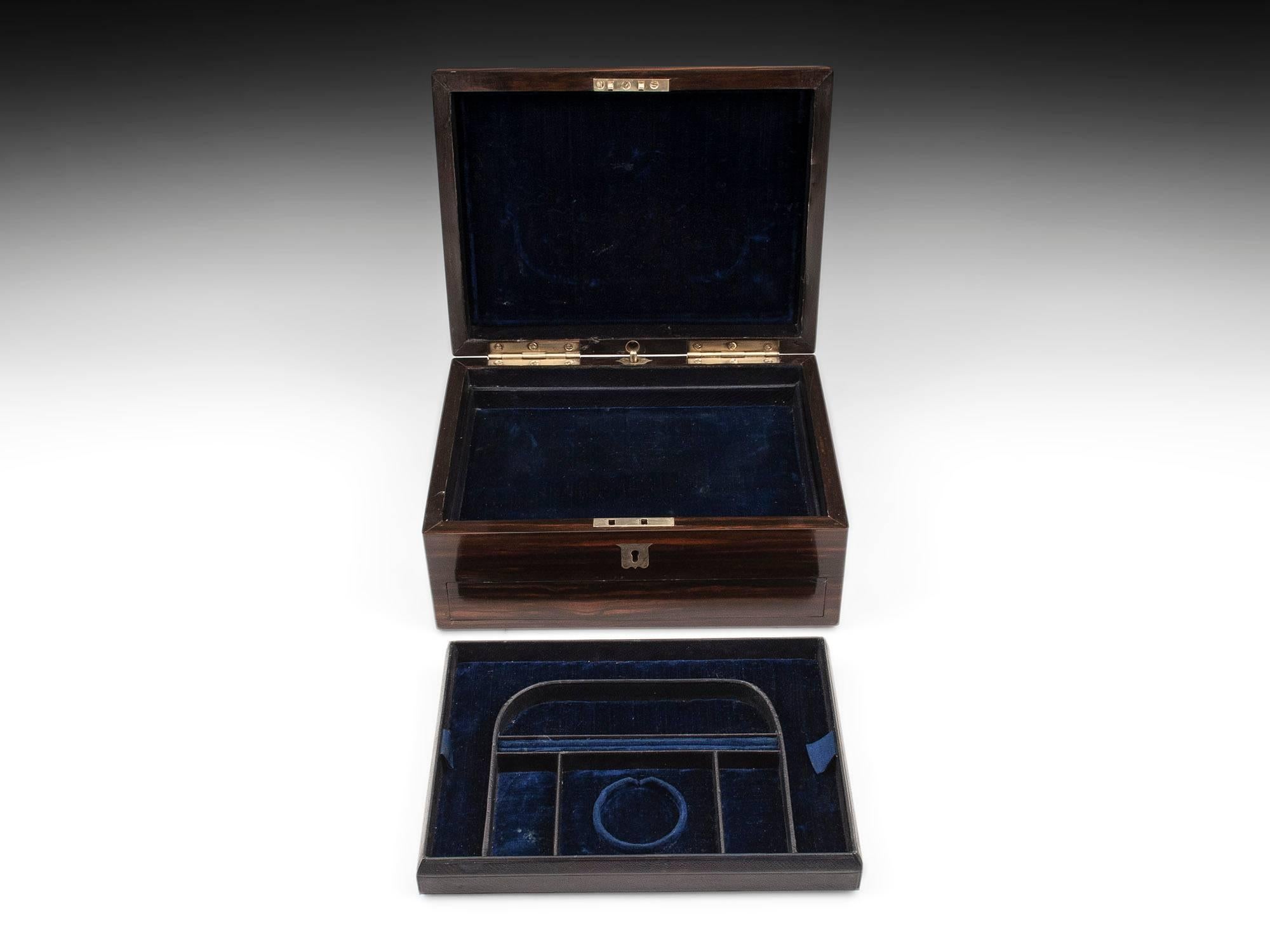 19th Century Dome Top Victorian Coromandel Jewellery Box 3