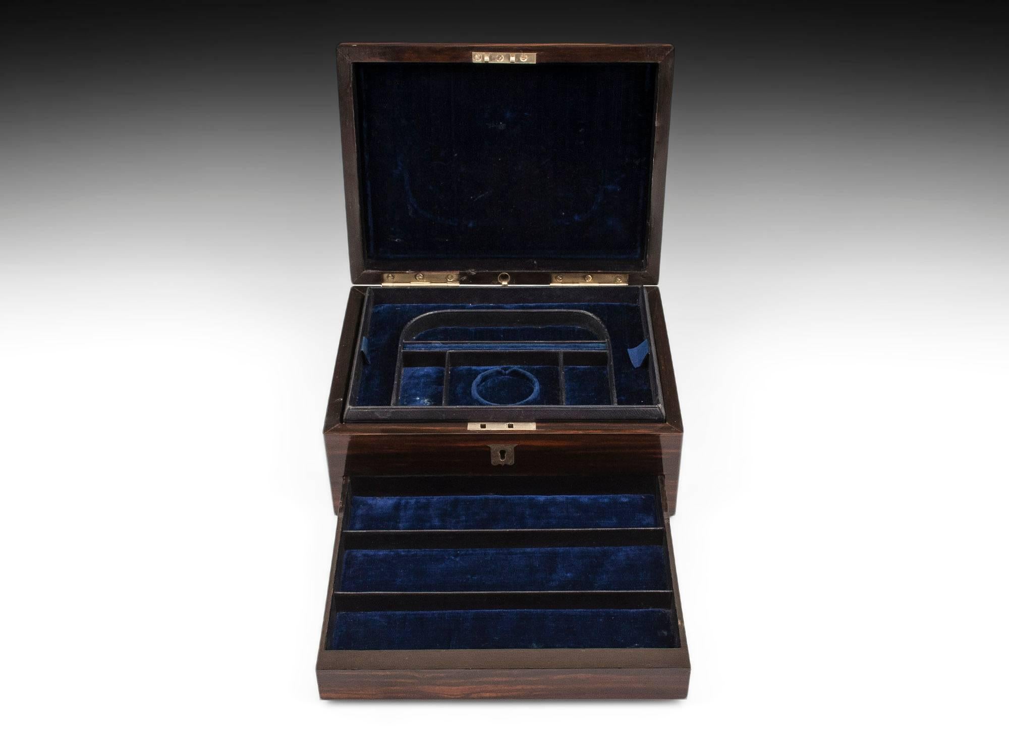 19th Century Dome Top Victorian Coromandel Jewellery Box 4