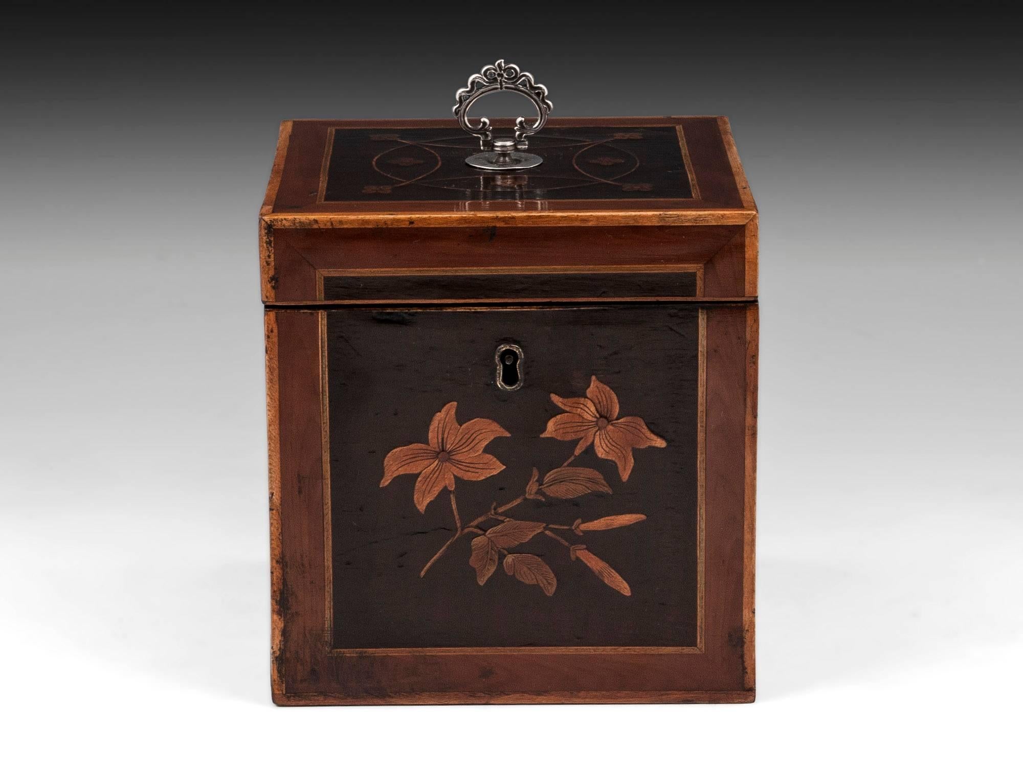 Antique tea caddy with boxwood edges and panels on each side with minimalistic inlaid flowers and unique strung design to the top finished with an ornate sterling silver handle. 

The tea caddies interior features a floating lid and traces of the
