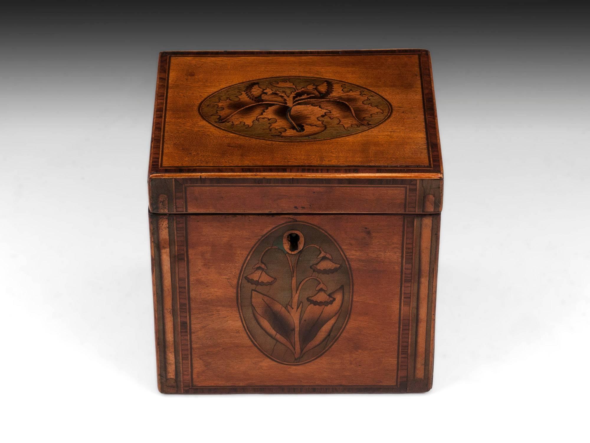 Antique satinwood single tea caddy with inlaid tea plant to the front with wonderful green color and tea leaves on the top. The top and front of the tea caddy is framed with a tulipwood crossbanding with a boxwood edging surrounding the tea caddy.