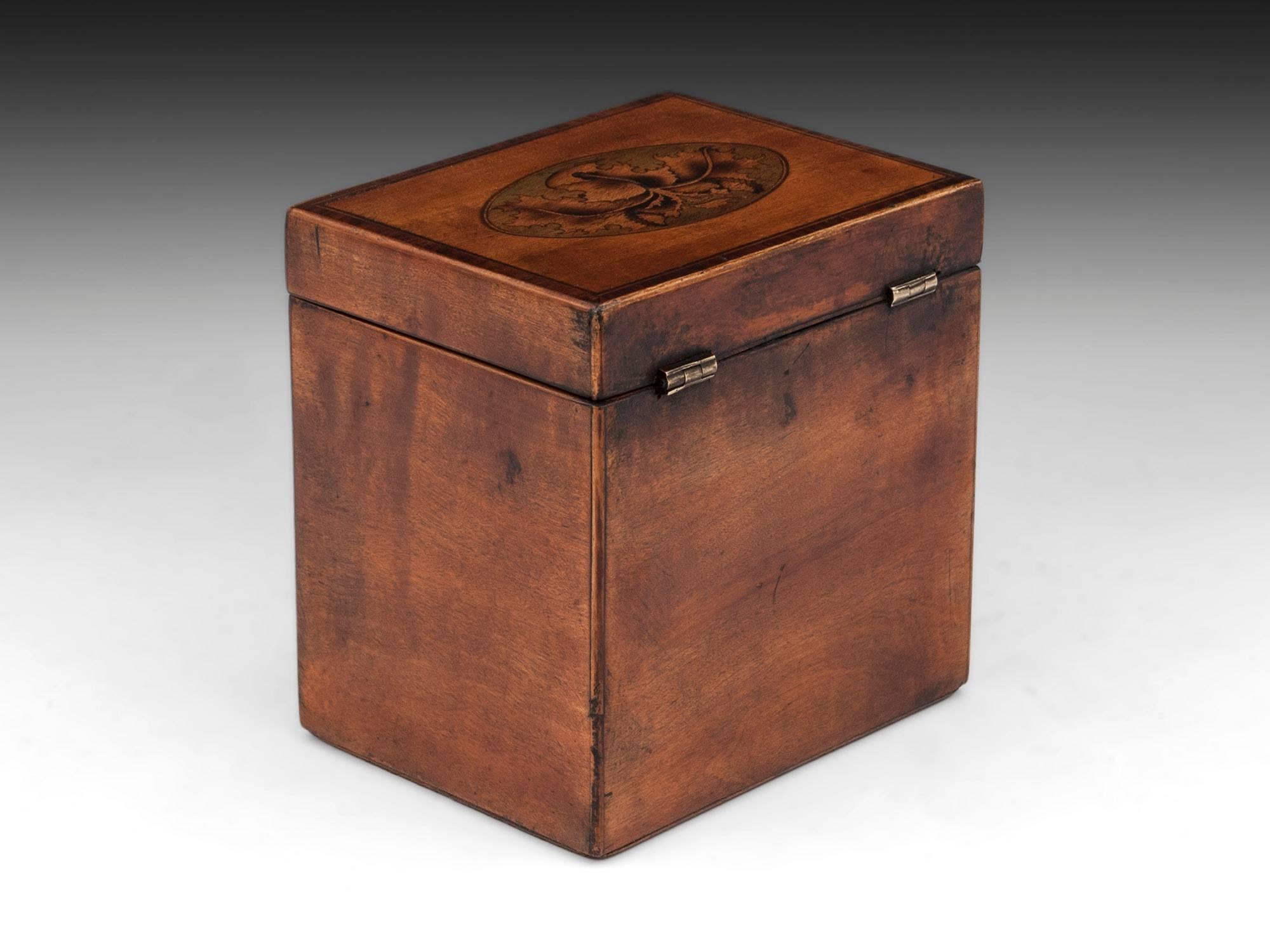 Antique Georgian Satinwood Single Tea Caddy In Excellent Condition In Northampton, United Kingdom