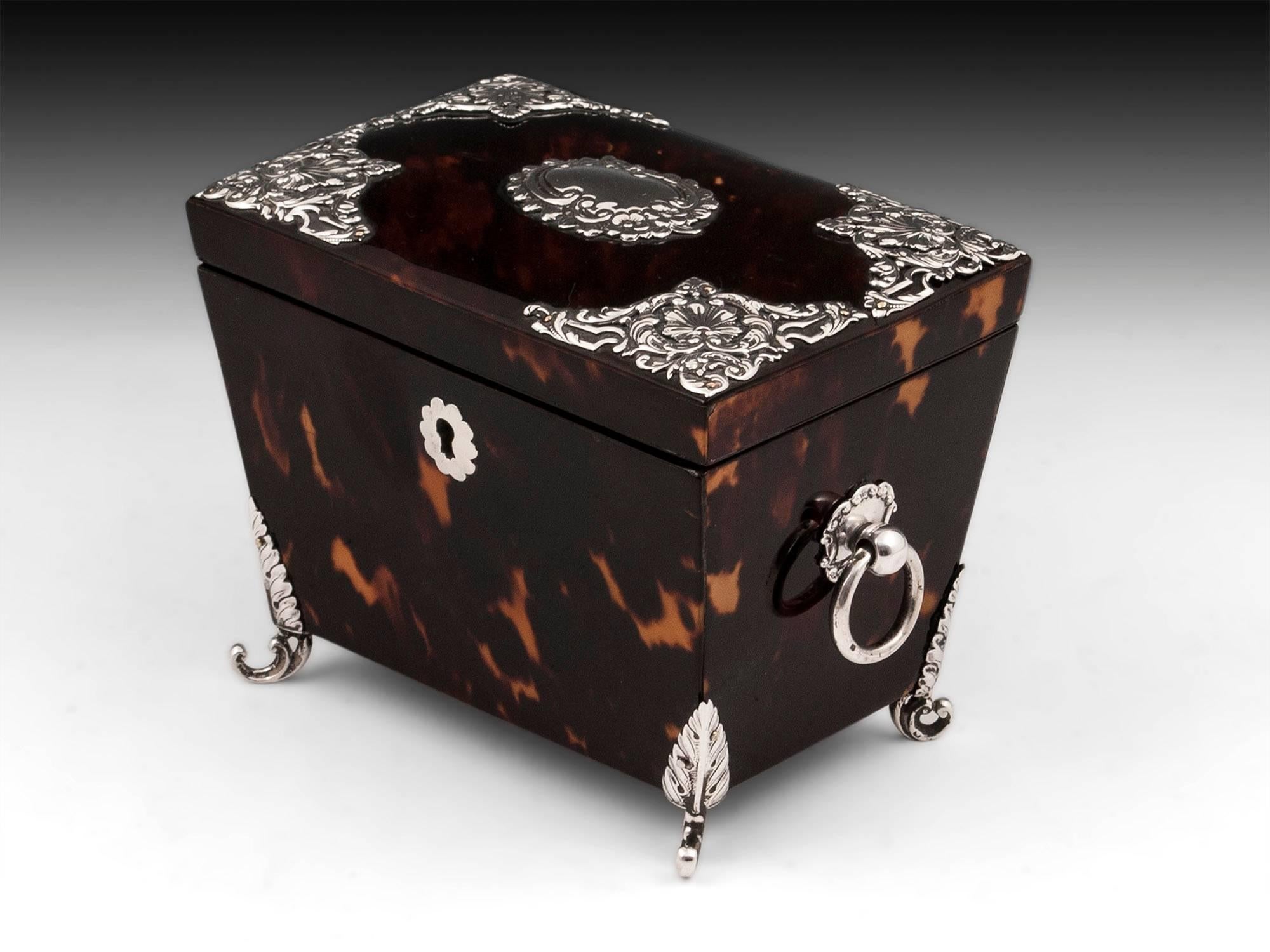Tortoiseshell and Silver Tea Caddy In Excellent Condition In Northampton, United Kingdom