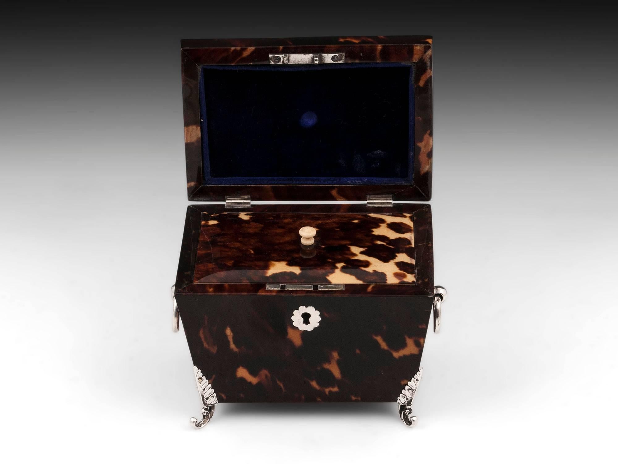 Tortoiseshell and Silver Tea Caddy 1