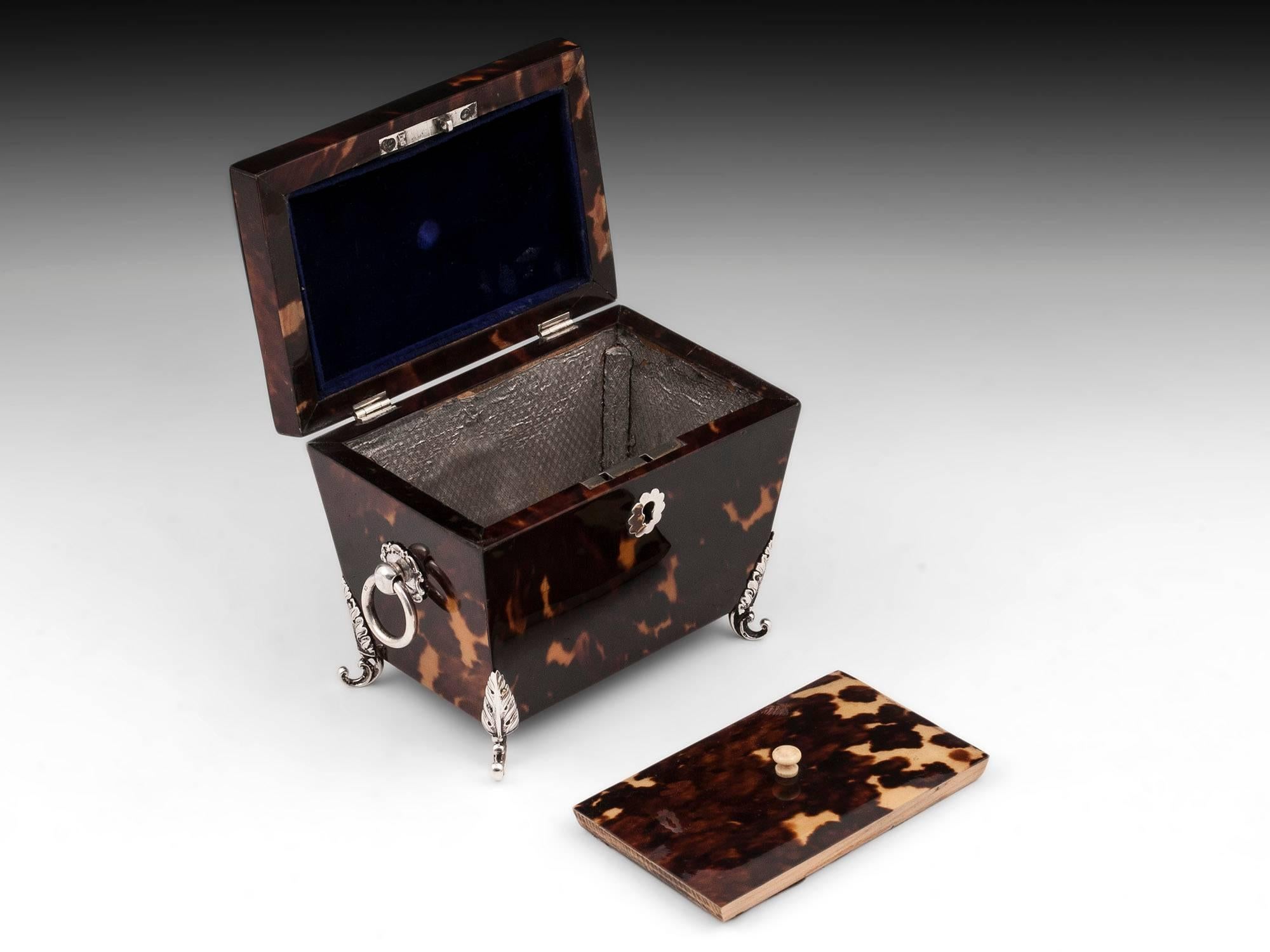 Tortoiseshell and Silver Tea Caddy 2