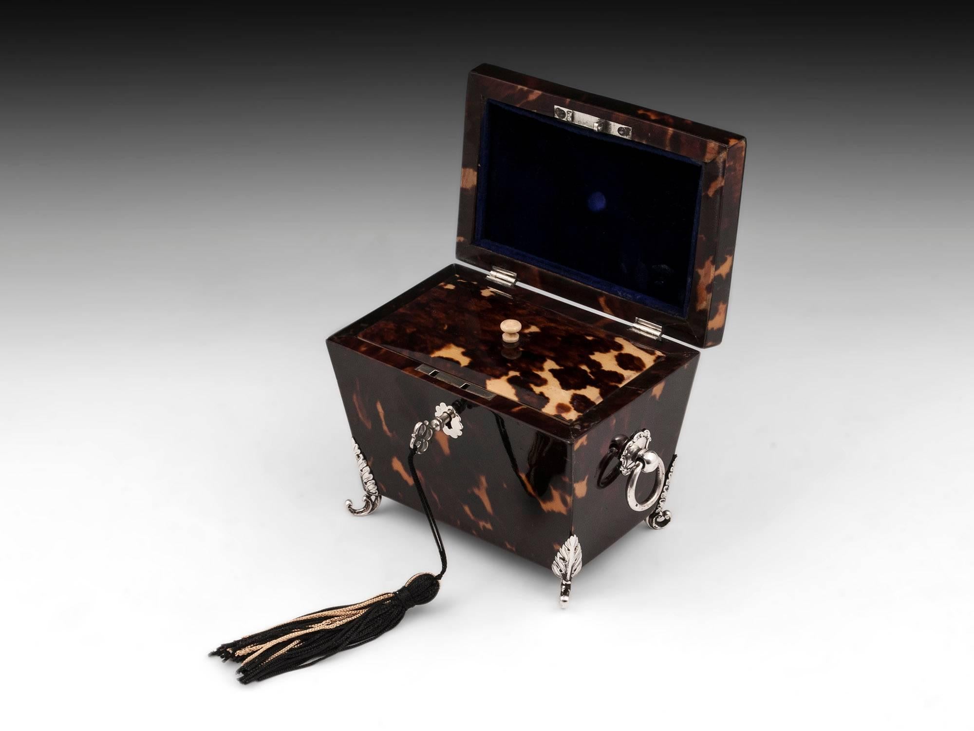 Tortoiseshell and Silver Tea Caddy 3