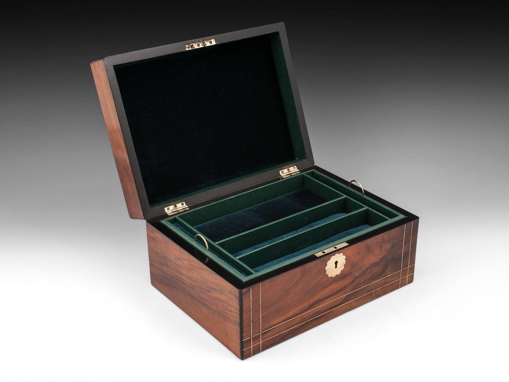 Antique English Walnut Jewelry Box with Brass Stringing 2