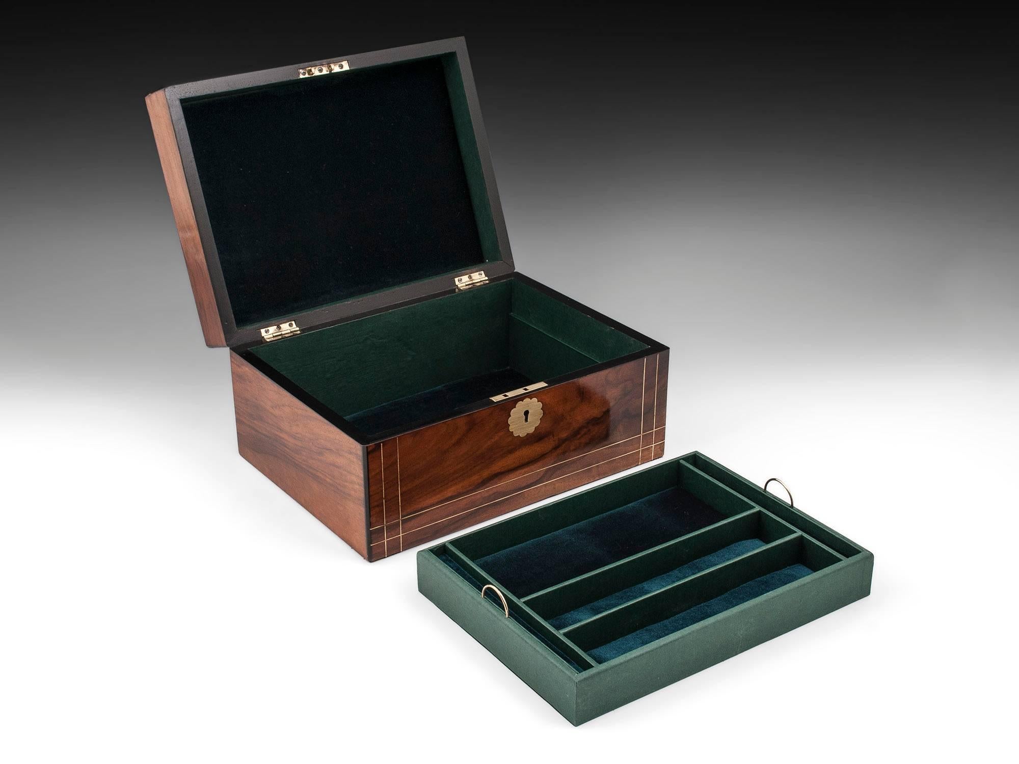 Antique English Walnut Jewelry Box with Brass Stringing 3
