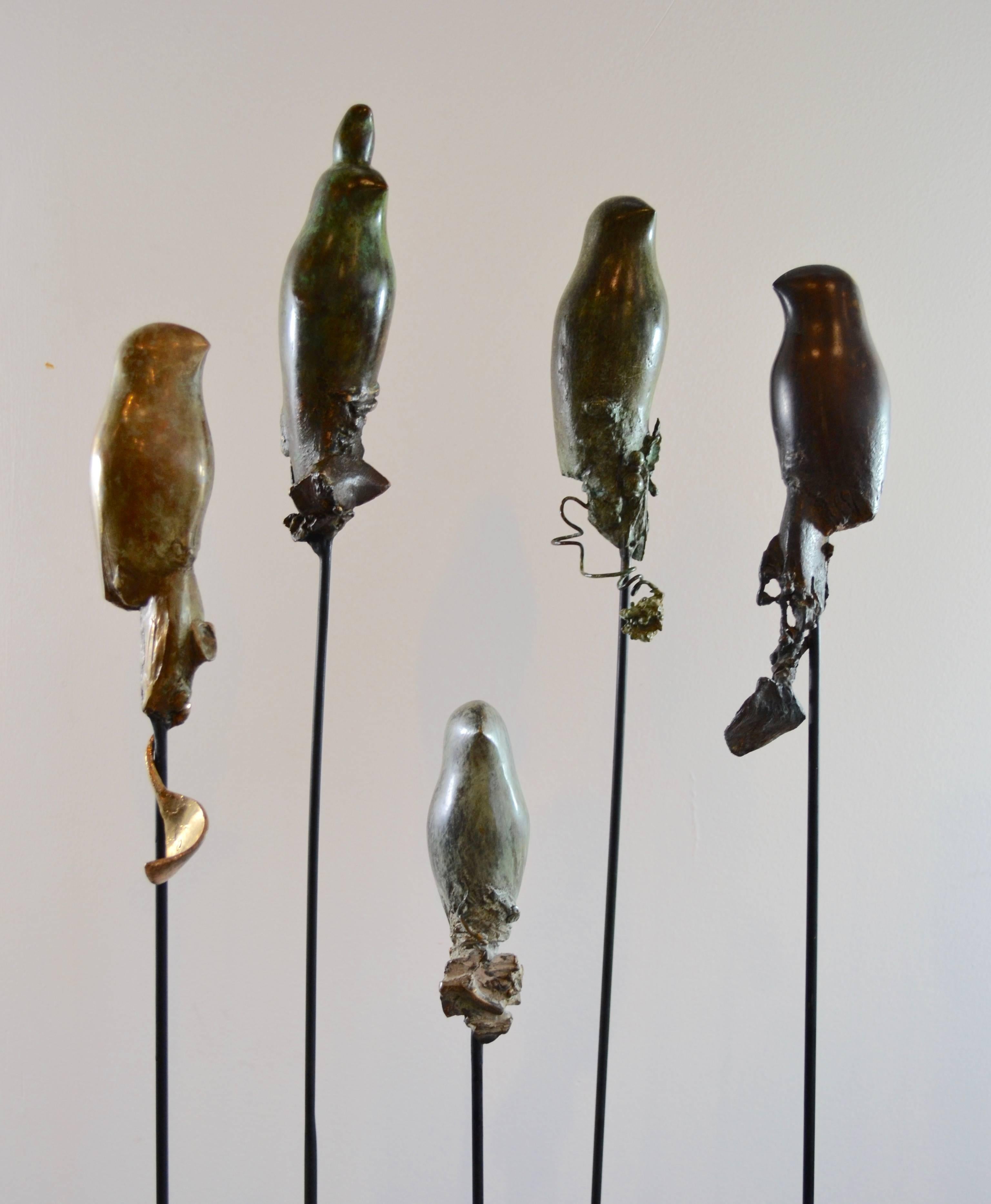 Suspended birds mounted on steel rods highly finished bronze with a variety of patinas each one of a kind bird is handcrafted by the artist, Sharon Wandel, elected member of the National Academy of Design, NYC, 1994. Indoor or outdoor. Beautiful in