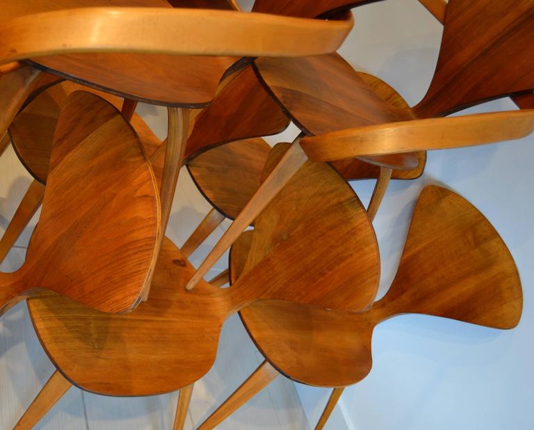 Set Of Eight Norman Cherner For Plycraft Walnut And Beech Dining Chairs 1950s
