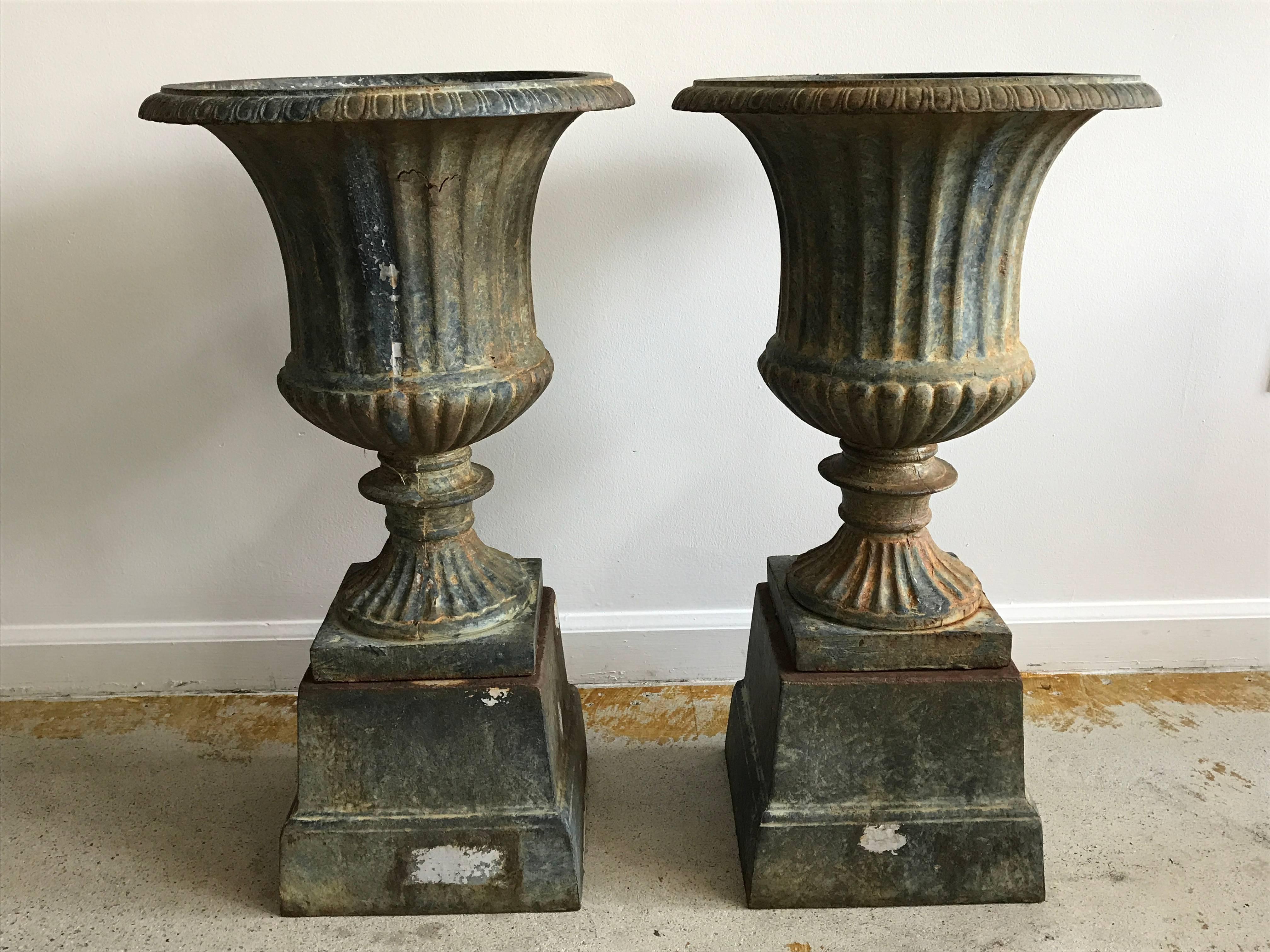 Unknown Beautiful Pair of Victorian Style Cast Iron Urns