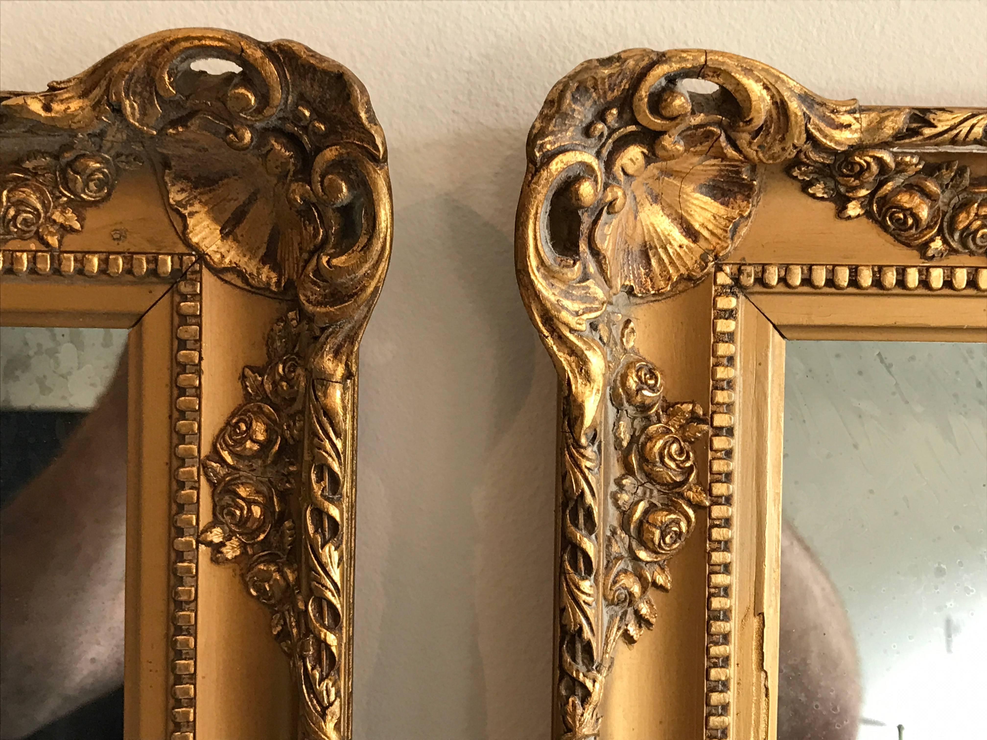 Unknown Pair of Small Scale Baroque Gold Gilt Mirrors, Early 20th Century
