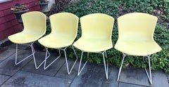 Set of Four Harry Bertoia Canary Yellow "Shell" Chairs for Knoll, Early 1960s