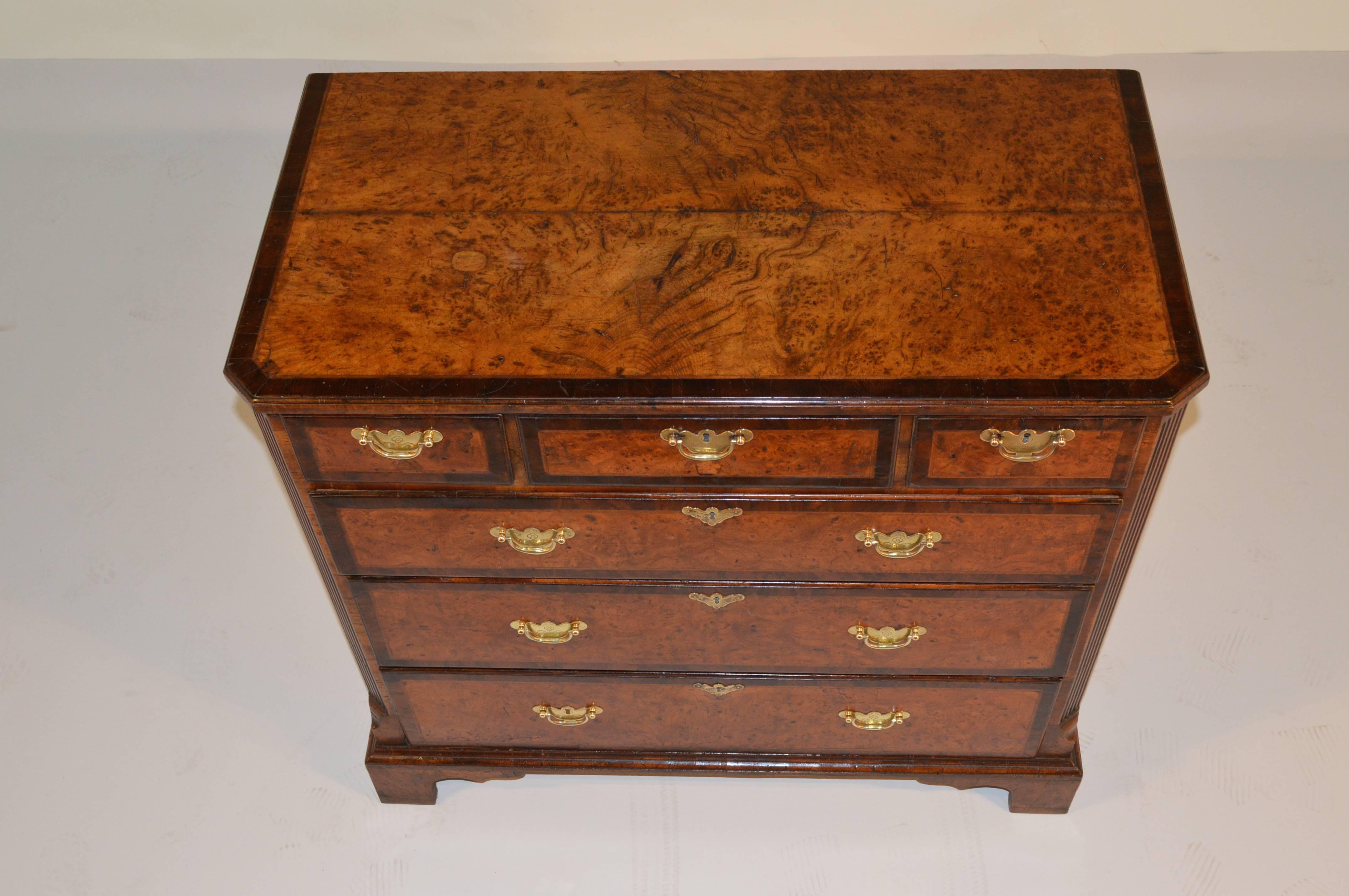 18th Century and Earlier 18th Century English Burr Elm Chest of Drawers