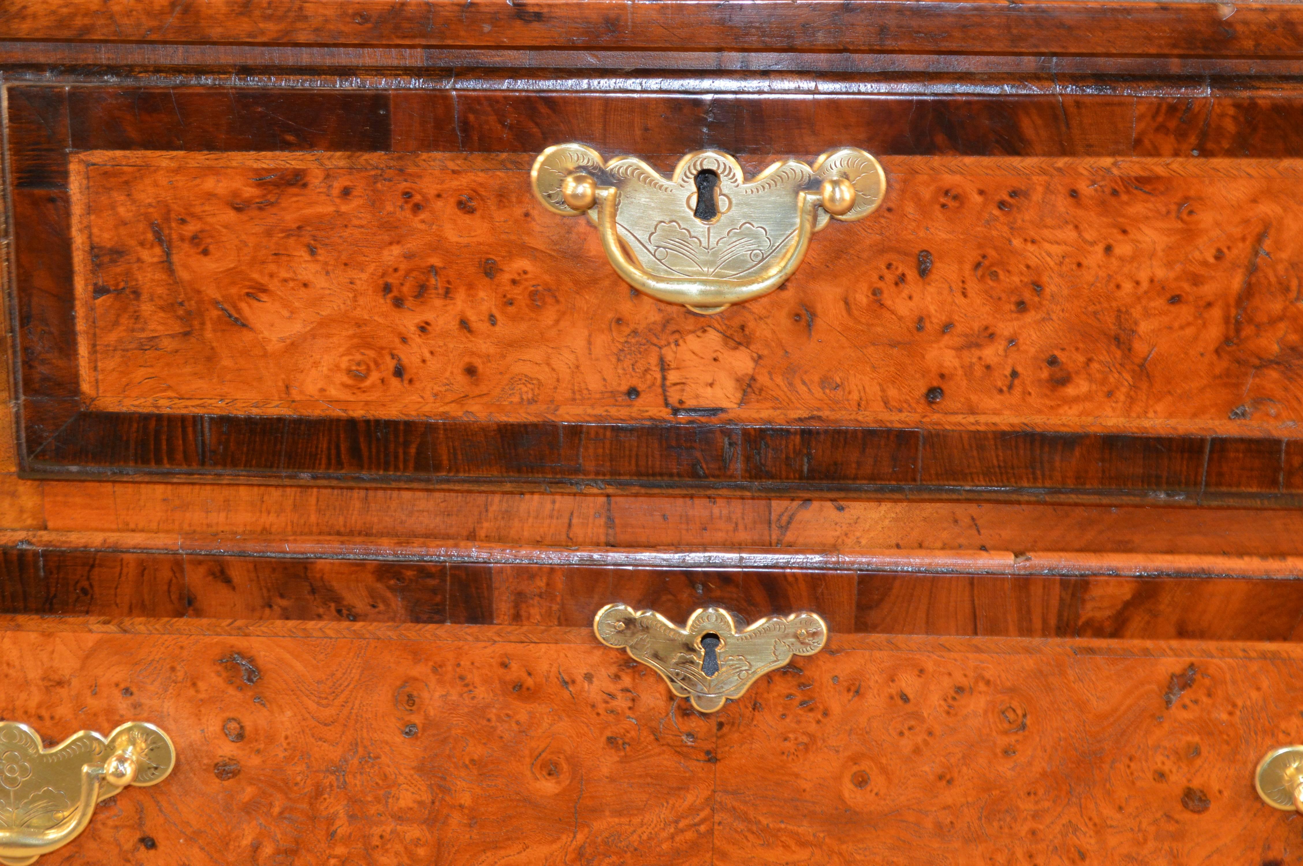 Brass 18th Century English Burr Elm Chest of Drawers