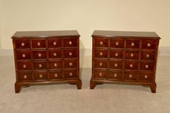 Pair of Apothecary Cabinets, circa 1900