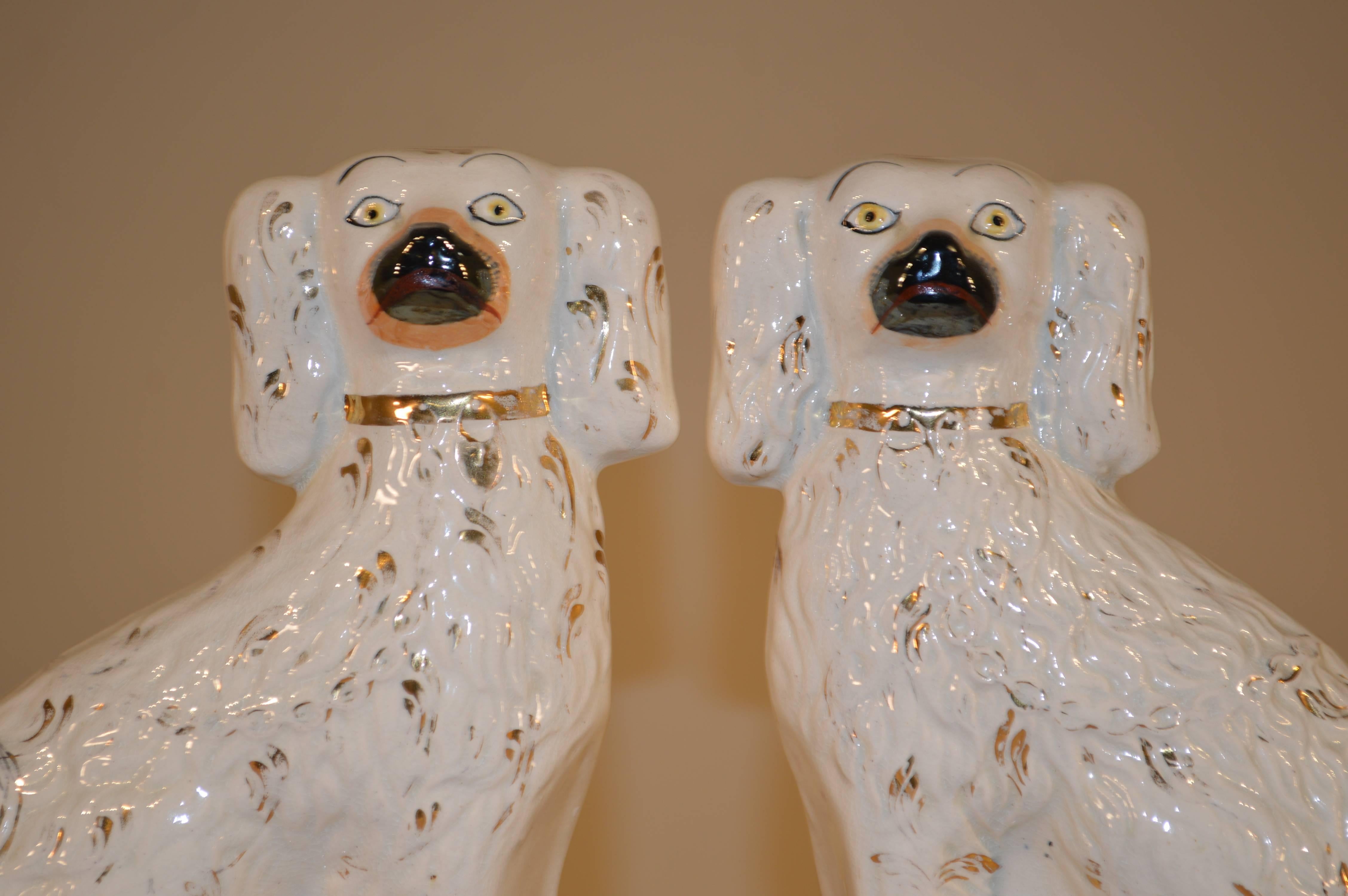 Pair of 19th century English Staffordshire dogs with curly tails with gold accents.