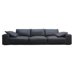 Large Roche Bobois Four-Seat Sofa in Brown Leather, France