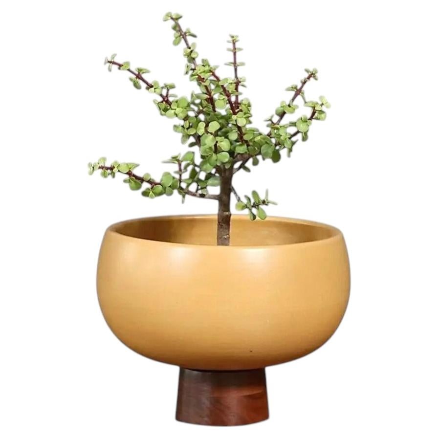 Jardinière restaurée par des experts-John Follis "Floating Pottery" Model-FB Mustard Glazed