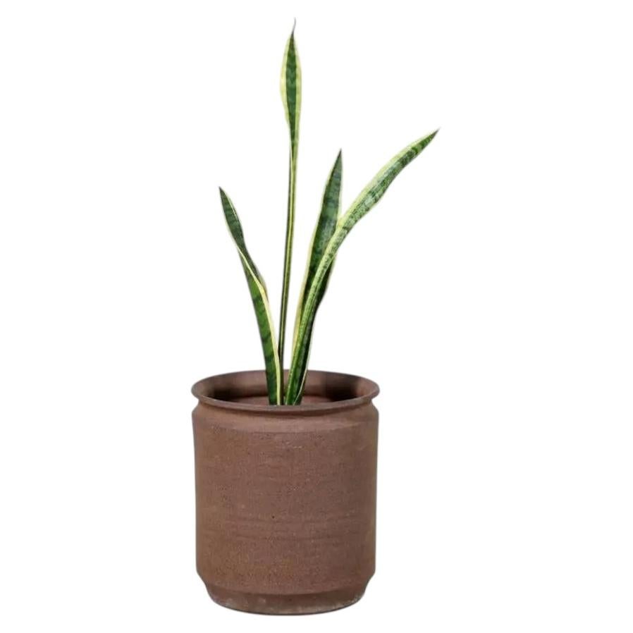 California Modern Pro Artisan Stoneware Planter by David Cressey