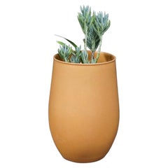 Kalifornischer Senfpflanzer von David Cressey & Raul Coronel (Pro Artisan)