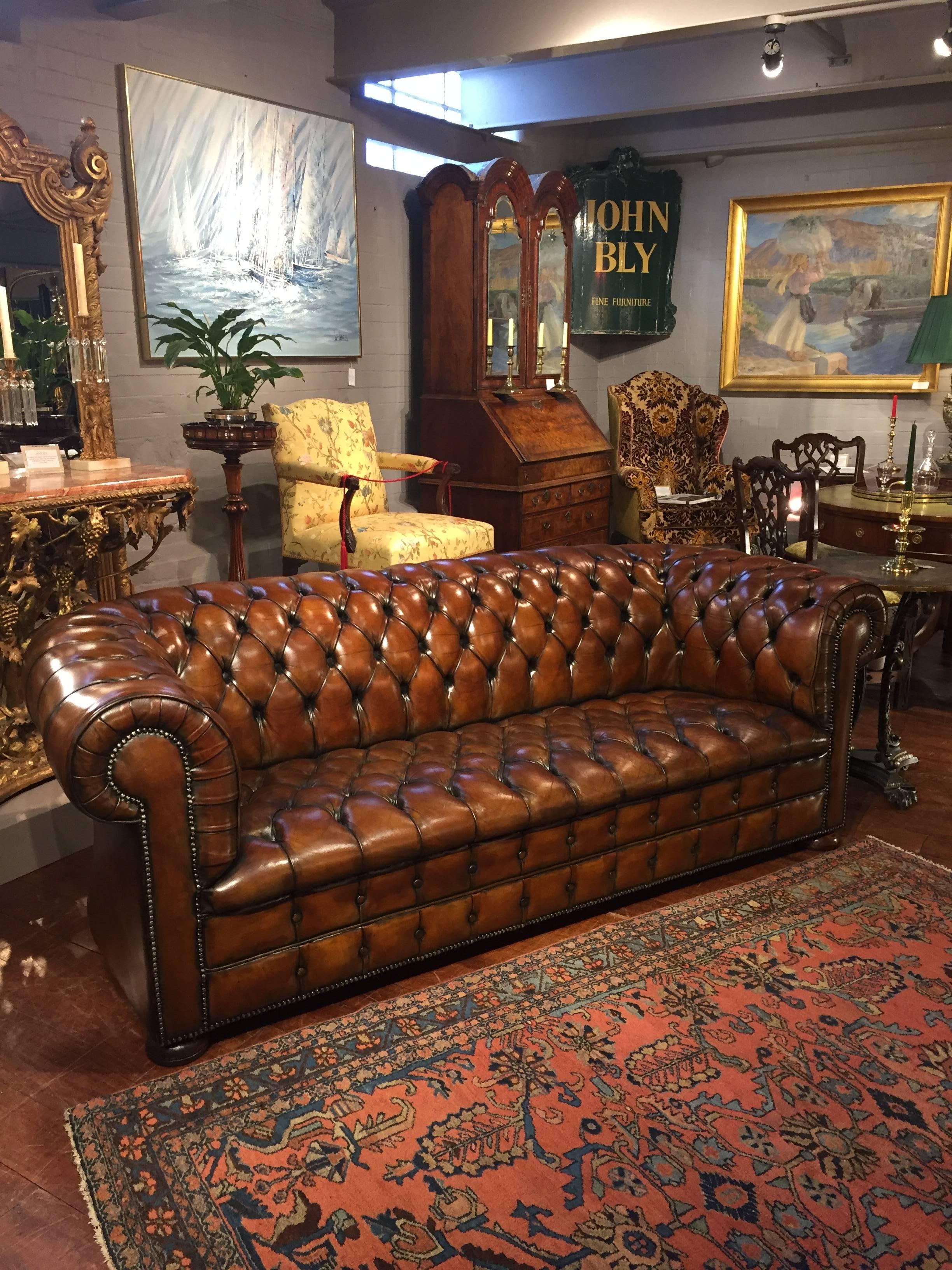 A fine mid 20th century three seater Chesterfield sofa covered in brown leather with buttoned seat and back on turned bun feet.