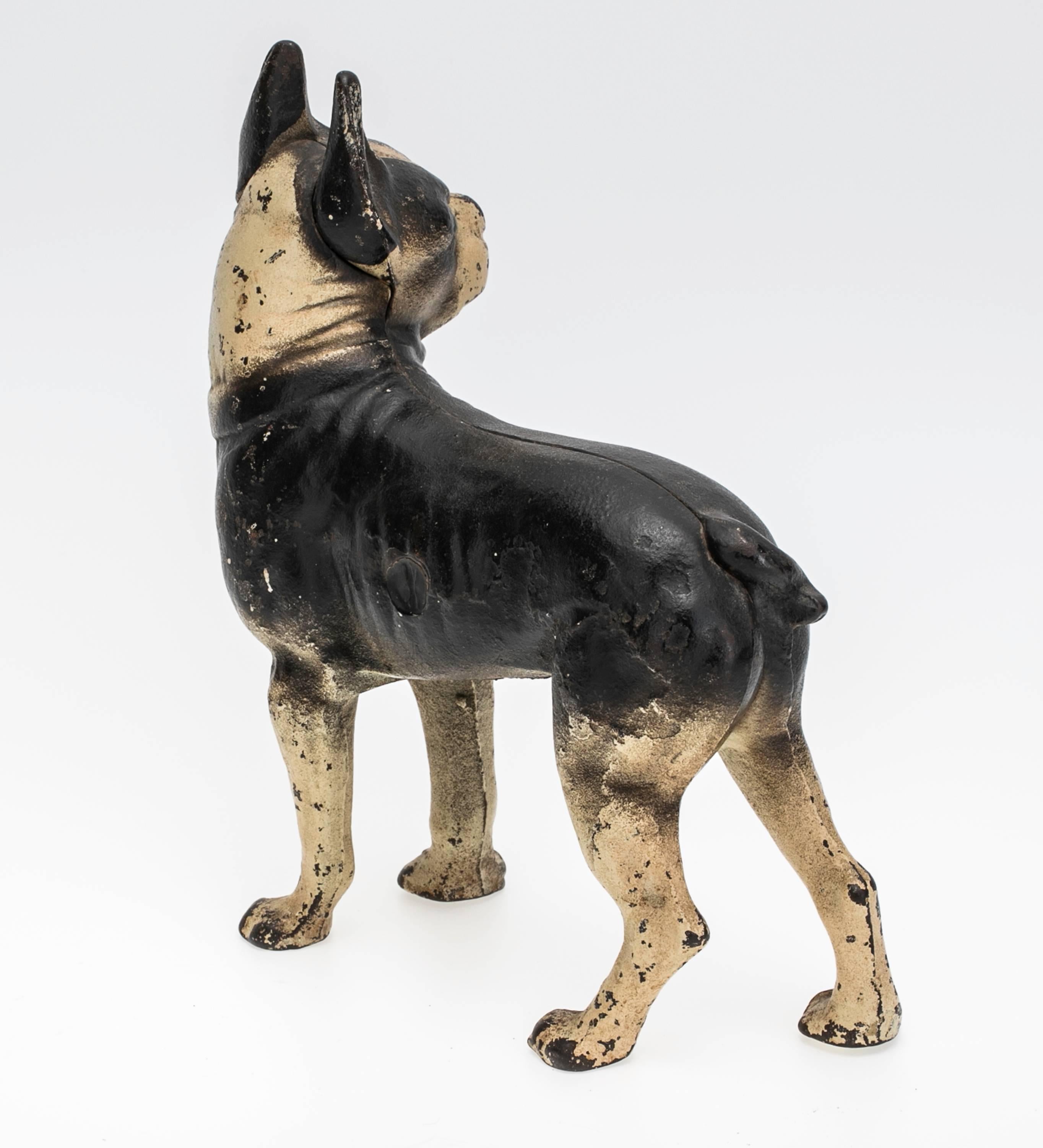 20th Century Boston Terrier Dog, Iron Doorstop Door Stop