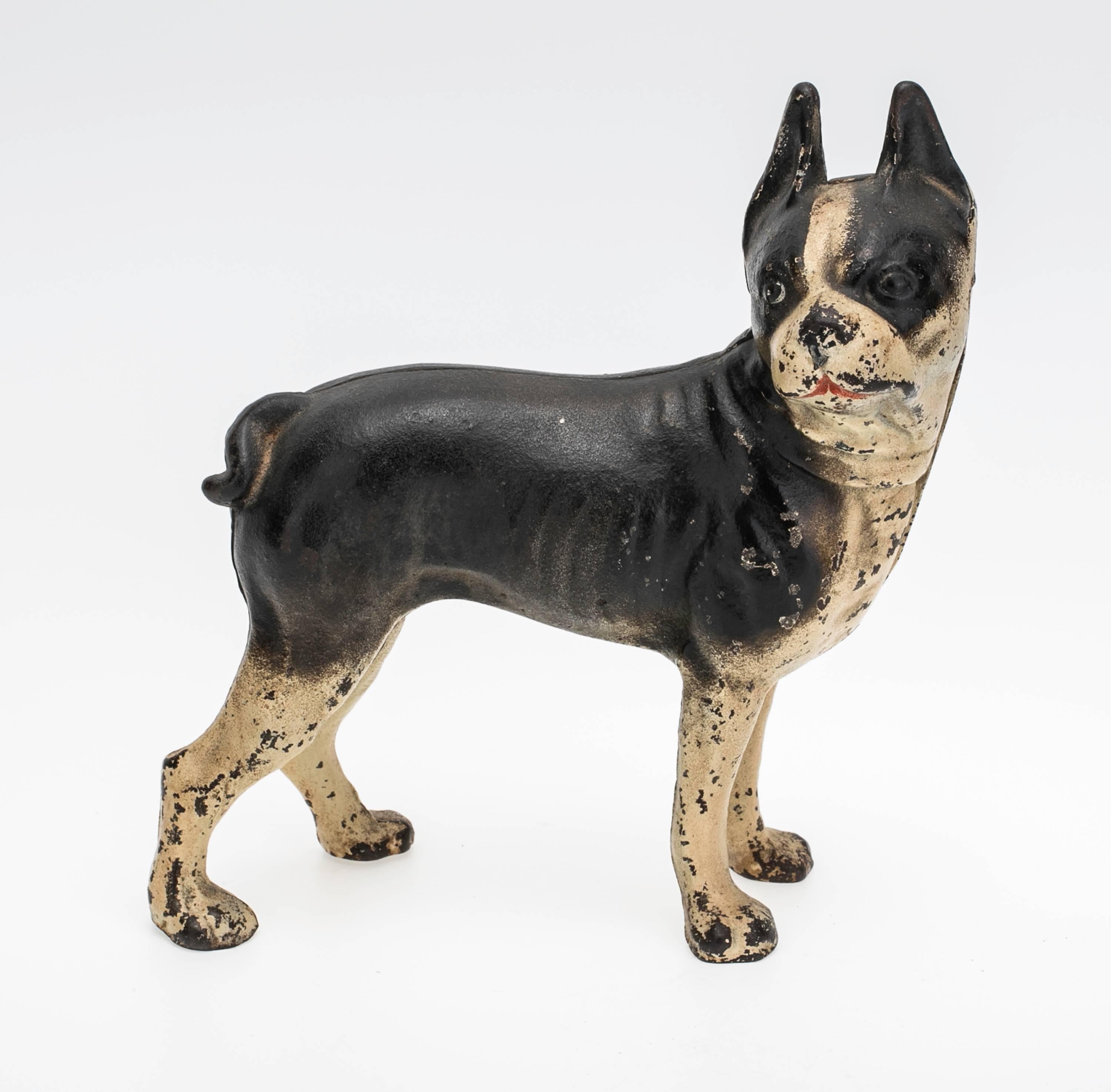 Antique cast iron Boston Terrier doorstop from 1920s.
Original paint finish.