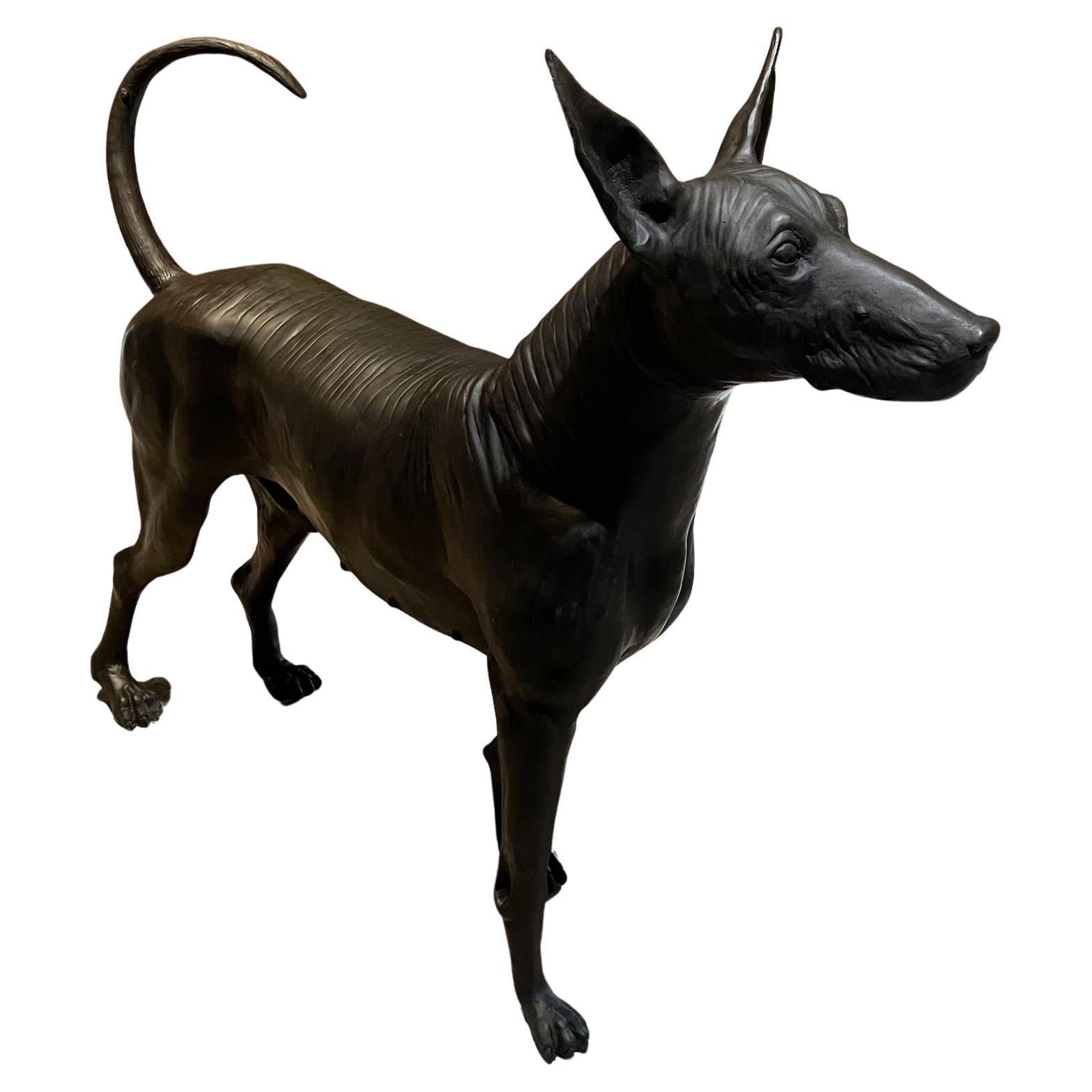 Xolo Hairless Dog Bronze Sculpture Master Sculptor Guillermo Castaño Mexico 2008 For Sale