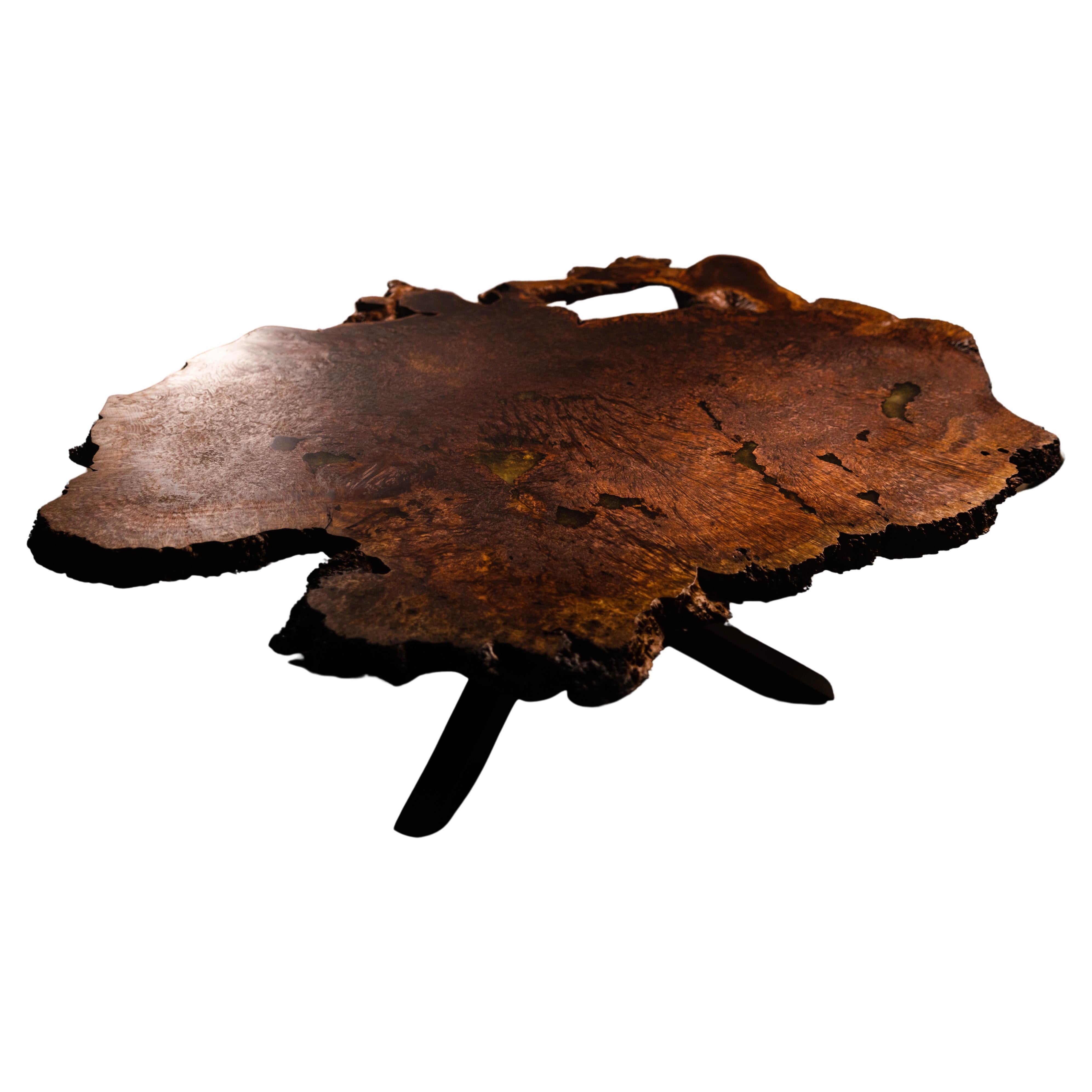 This coffee table features a slab of Redwood burl sourced from Northern California. Burls are a growth caused by a tree’s response to stress, injury, or infection. This particular species.  Sequoia sempervirens are prized for their stunning pattern,