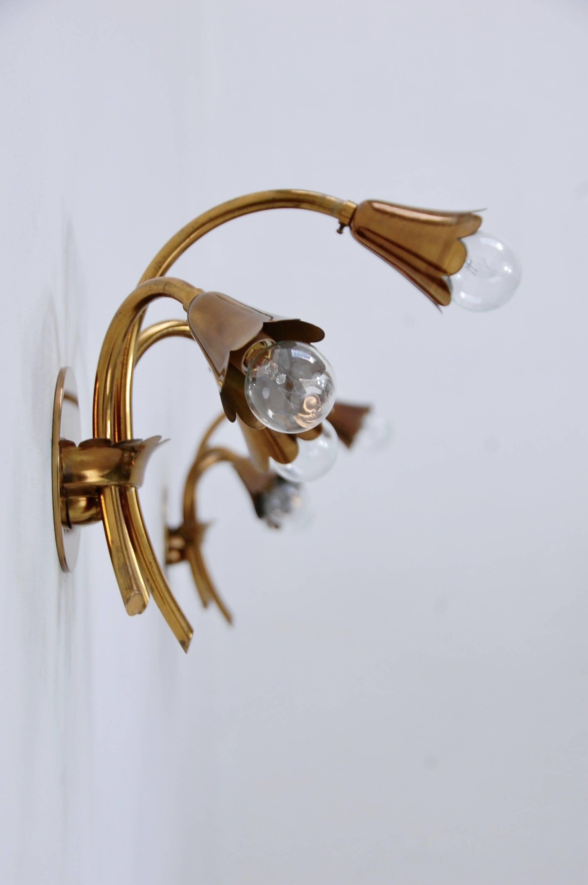Classic Italian brass sconces in original finish with botanical motif. Partially restored. Adapted for use in the US.