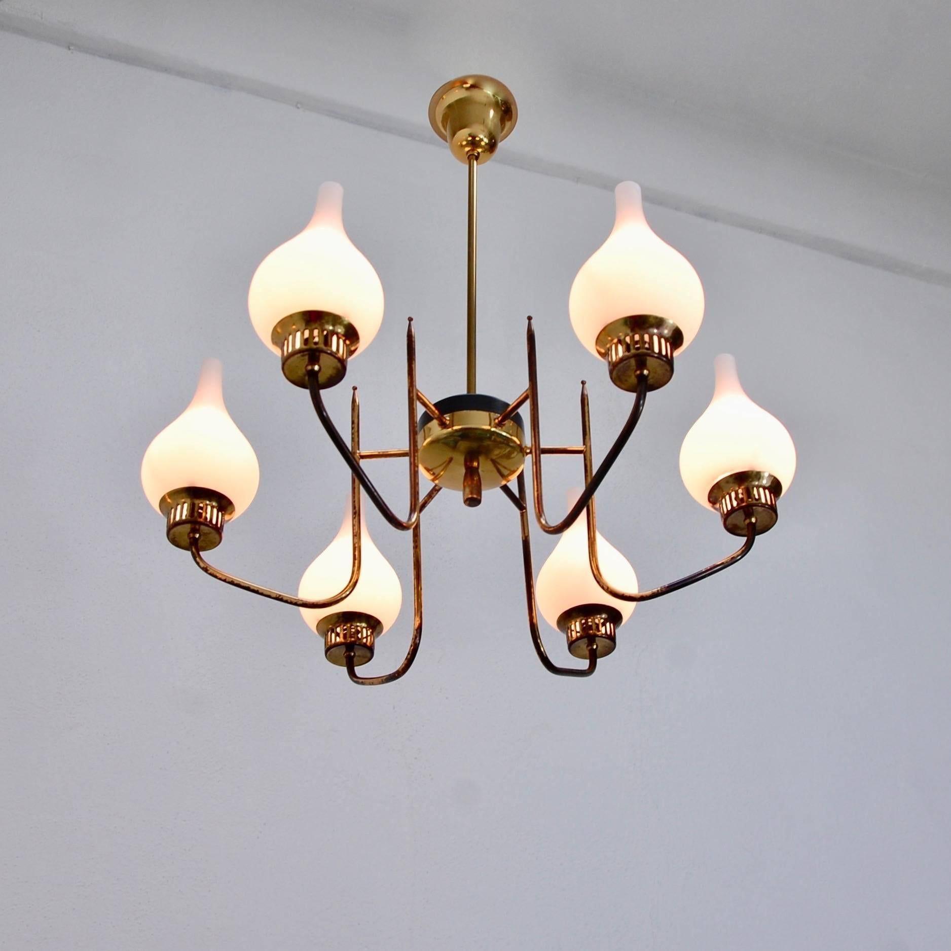 Of the period six glass shade midcentury 1950s chandelier from Italy. Partially restored, original brass finish, single E12 candelabra based sockets per shade, wired for the US.
Measures: Overall drop 26”
Fixture height 12”
Diameter 24”.
 