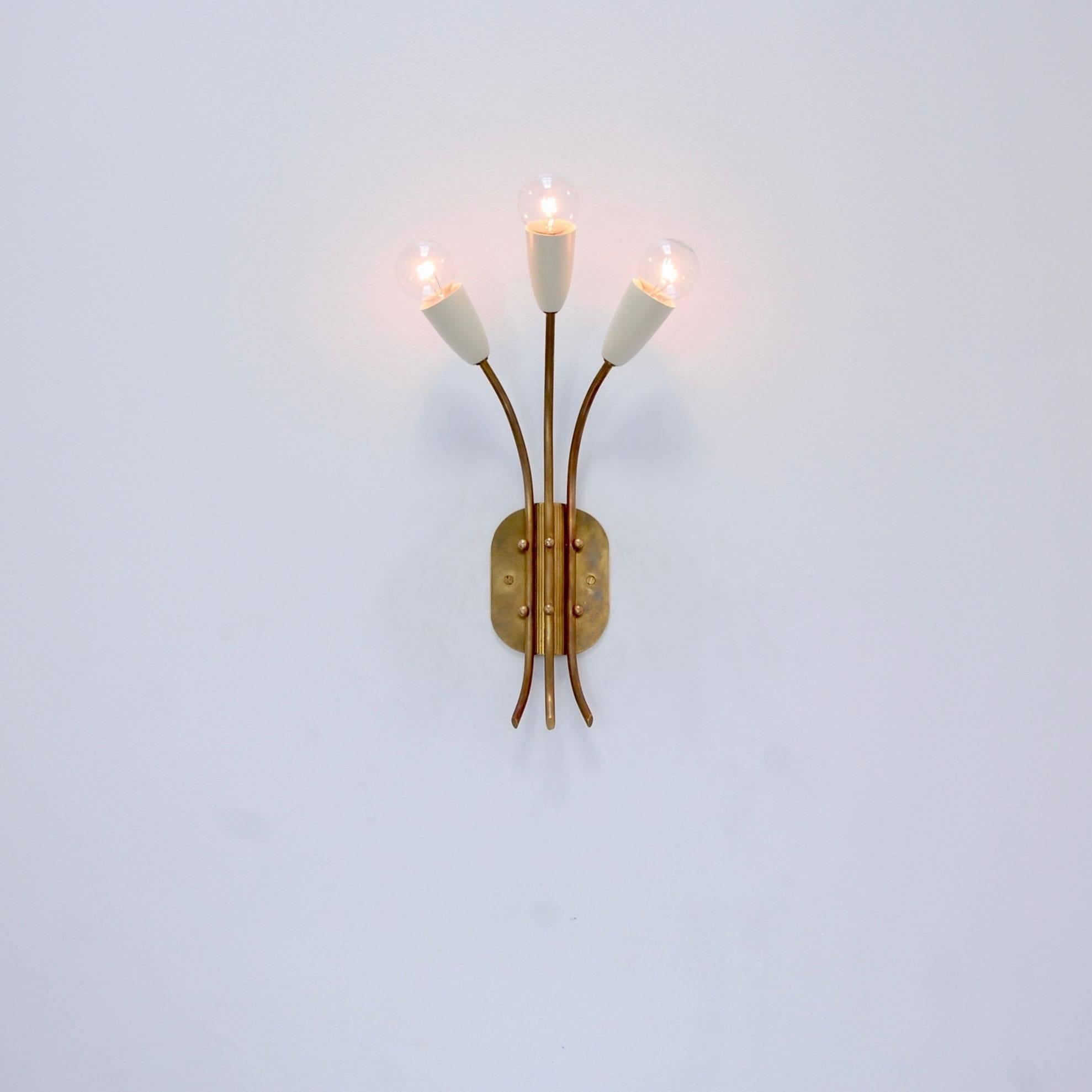Four 1950s botanical sconces from Italy. Beautifully restored. Three candelabra based E12 sockets. Currently wired for use in the US. Patinated brass and painted aluminium. Light bulbs and all mounting hardware supplied with order. Priced