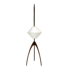 Floor Lamp Praying Mantis Designed by Rispal